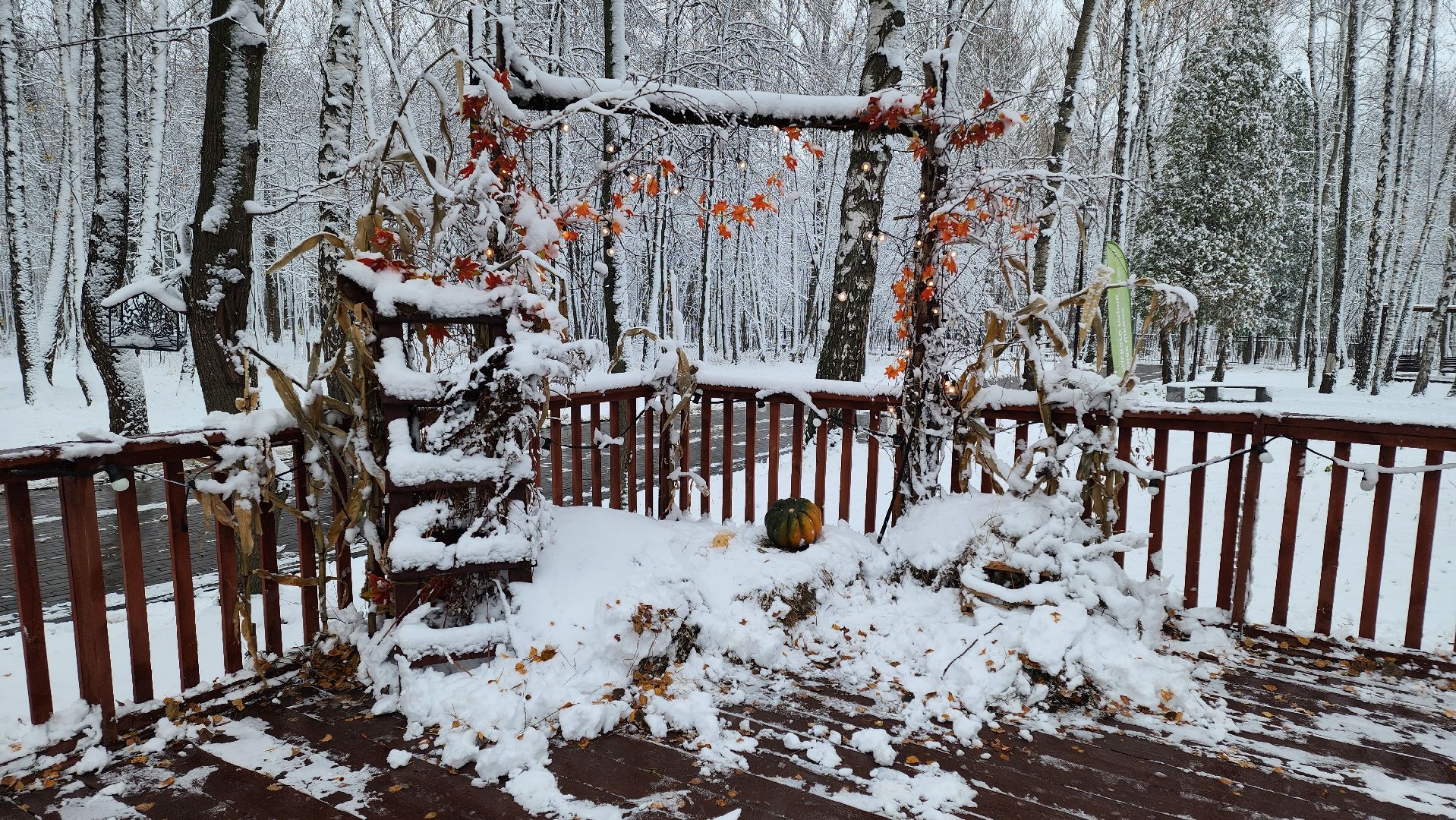 кашира, парк, день народного единства, вертикалка,