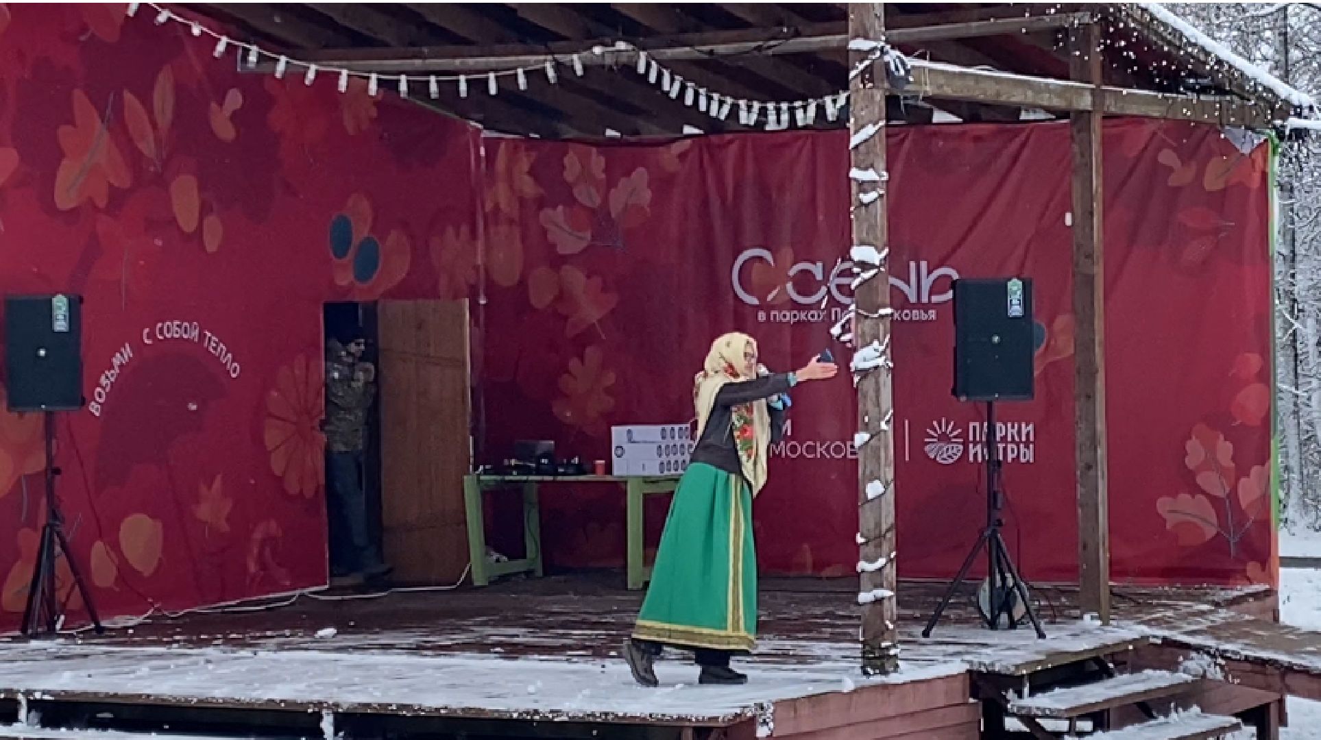 Концерт, Гармонь, день народного единства, вертикалка, истра,