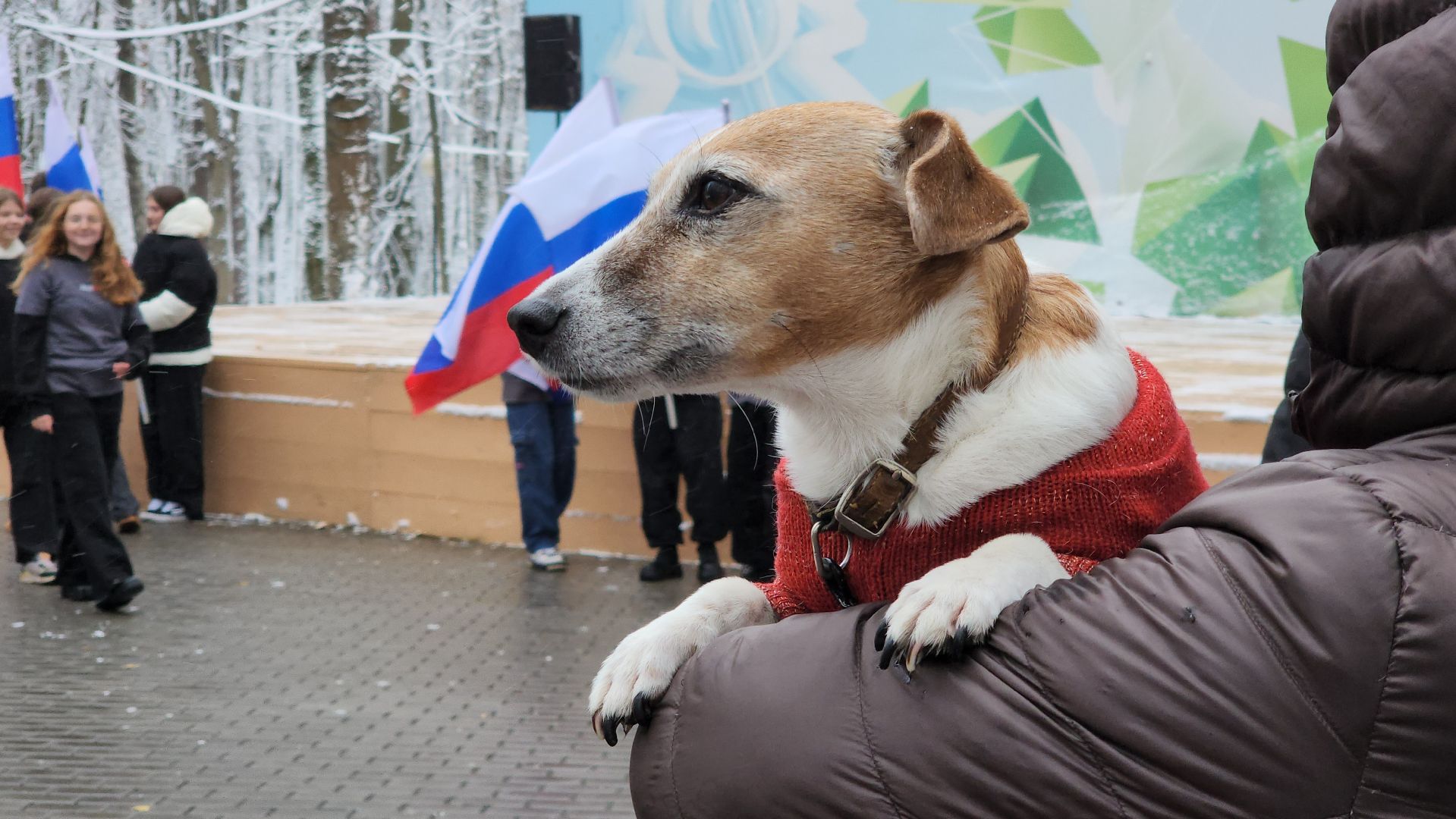 красногорск, день народного единства,вертикалка,Вертикальное видео,