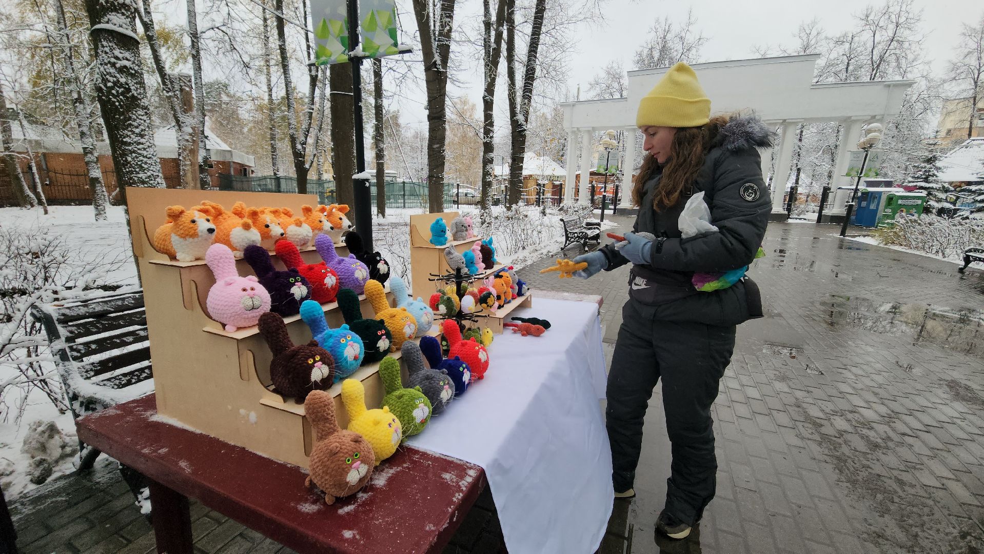 красногорск, день народного единства,вертикалка,Вертикальное видео,