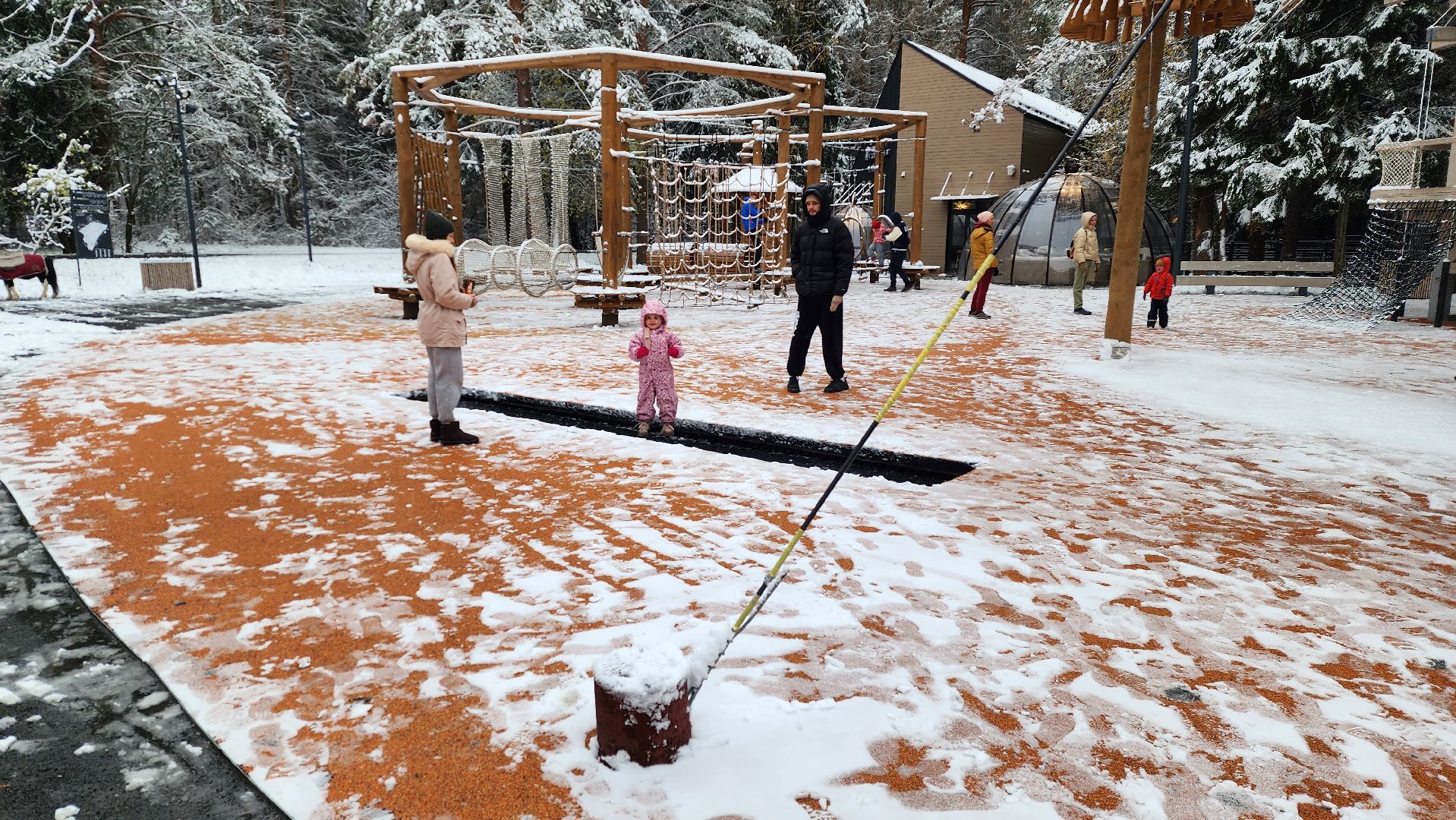 день народного единства, парки, праздник, вертикалка,