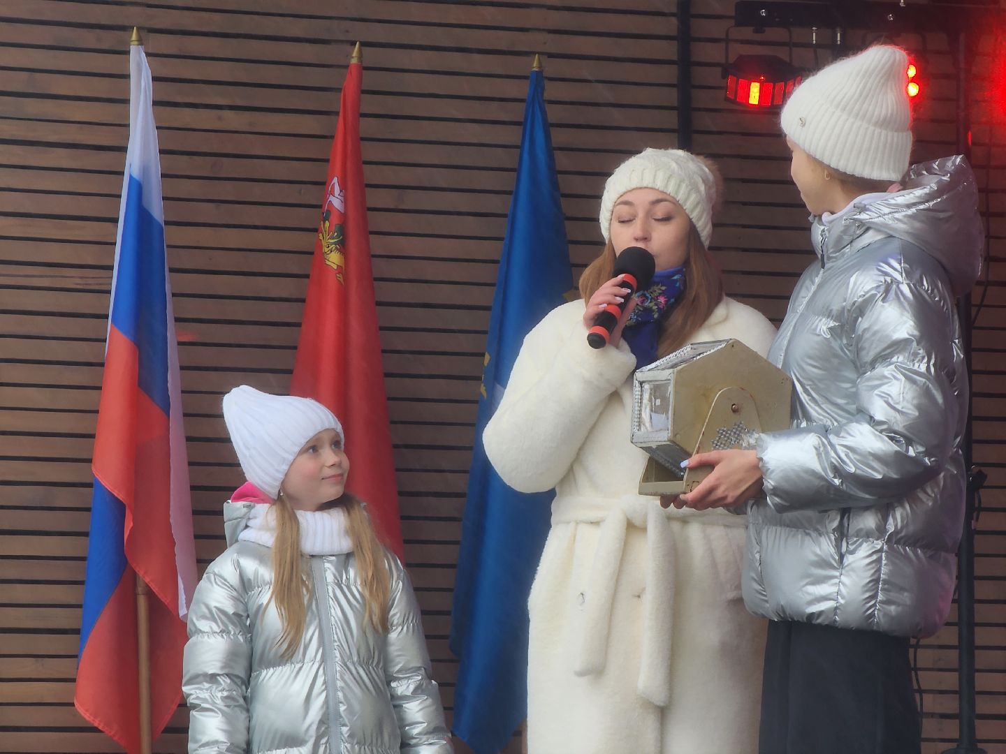 Коломна, день народного единства, праздничная программа, парки подмосковья, вертикалка,