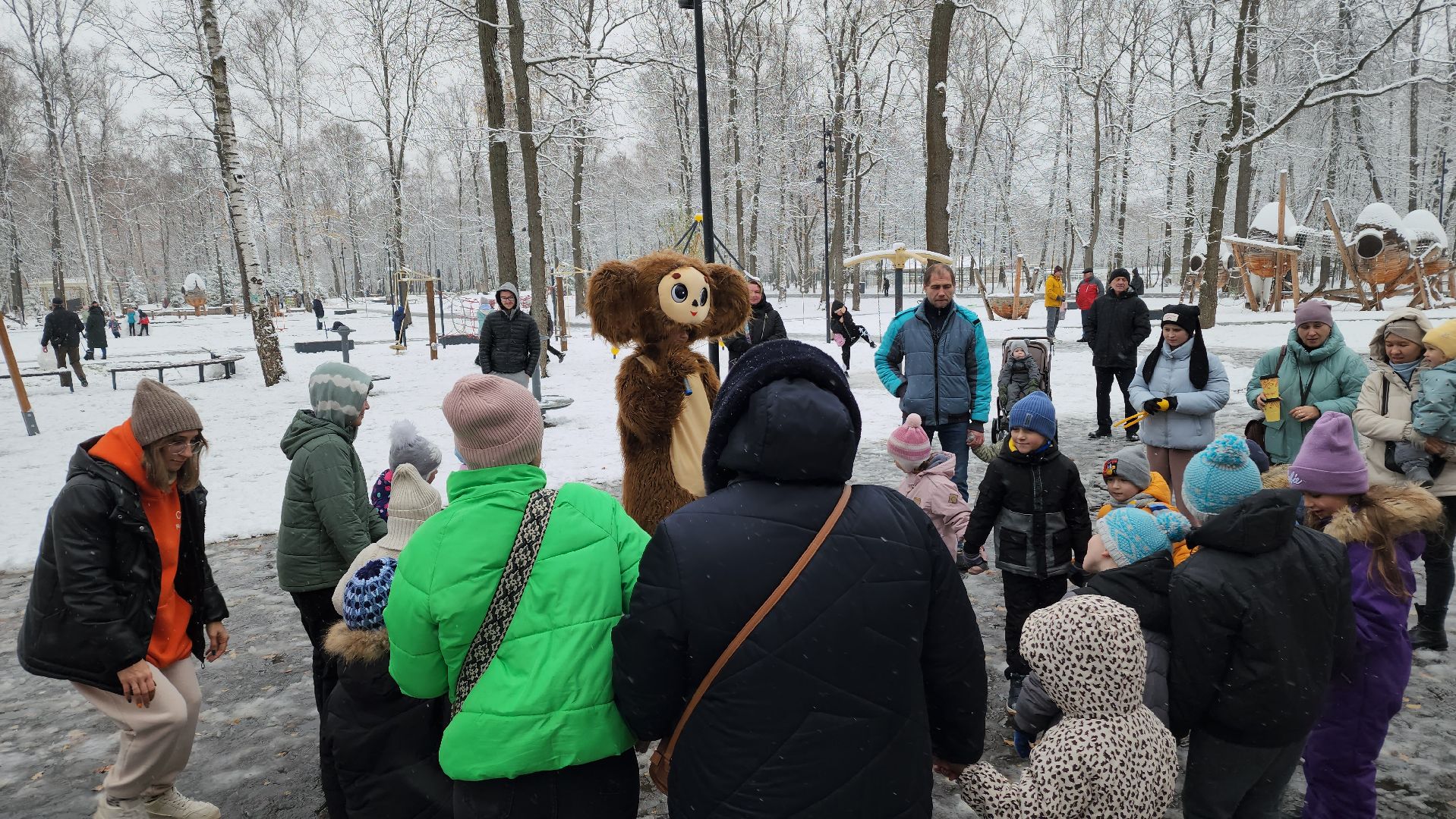 ступино, день народного единства, парки подмосковья, вертикалка,