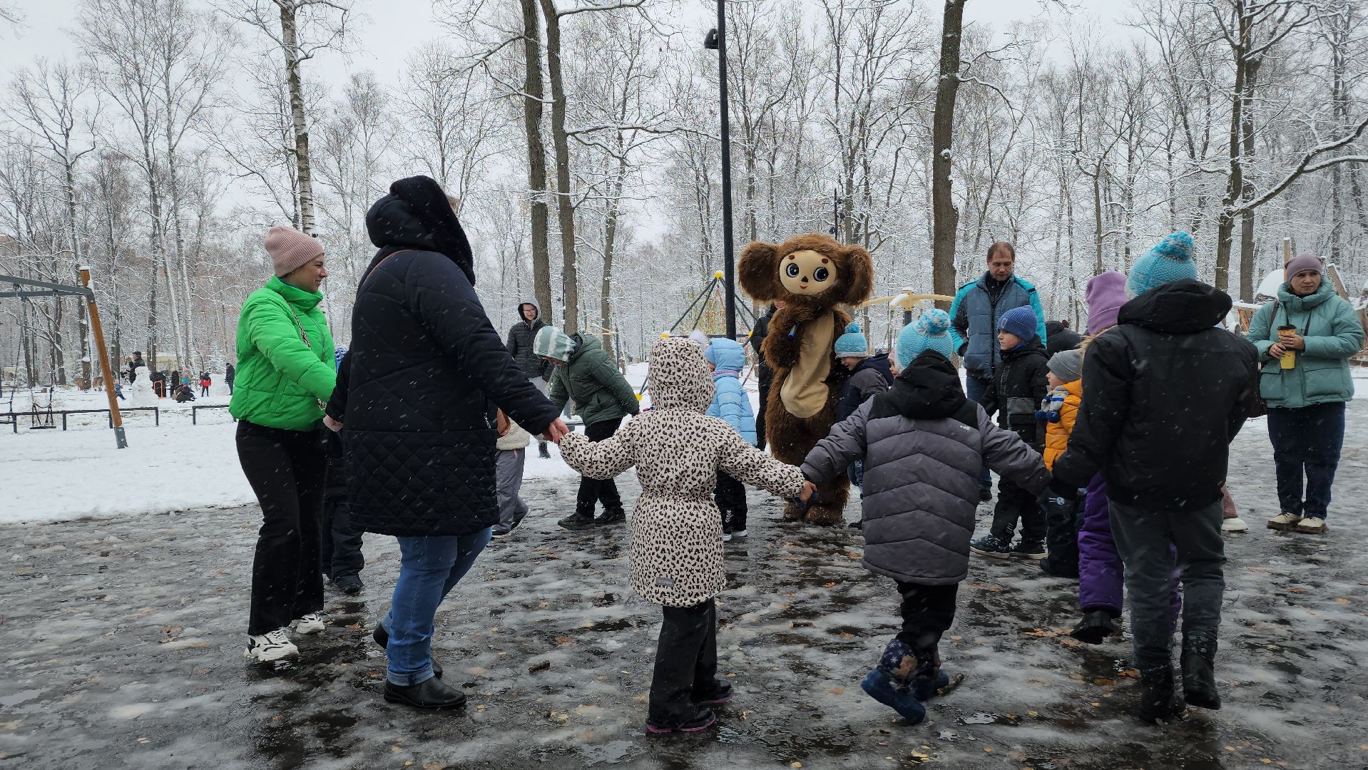 ступино, день народного единства, парки подмосковья, вертикалка,
