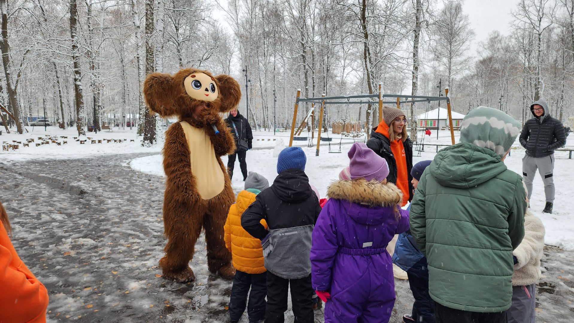 ступино, день народного единства, парки подмосковья, вертикалка,