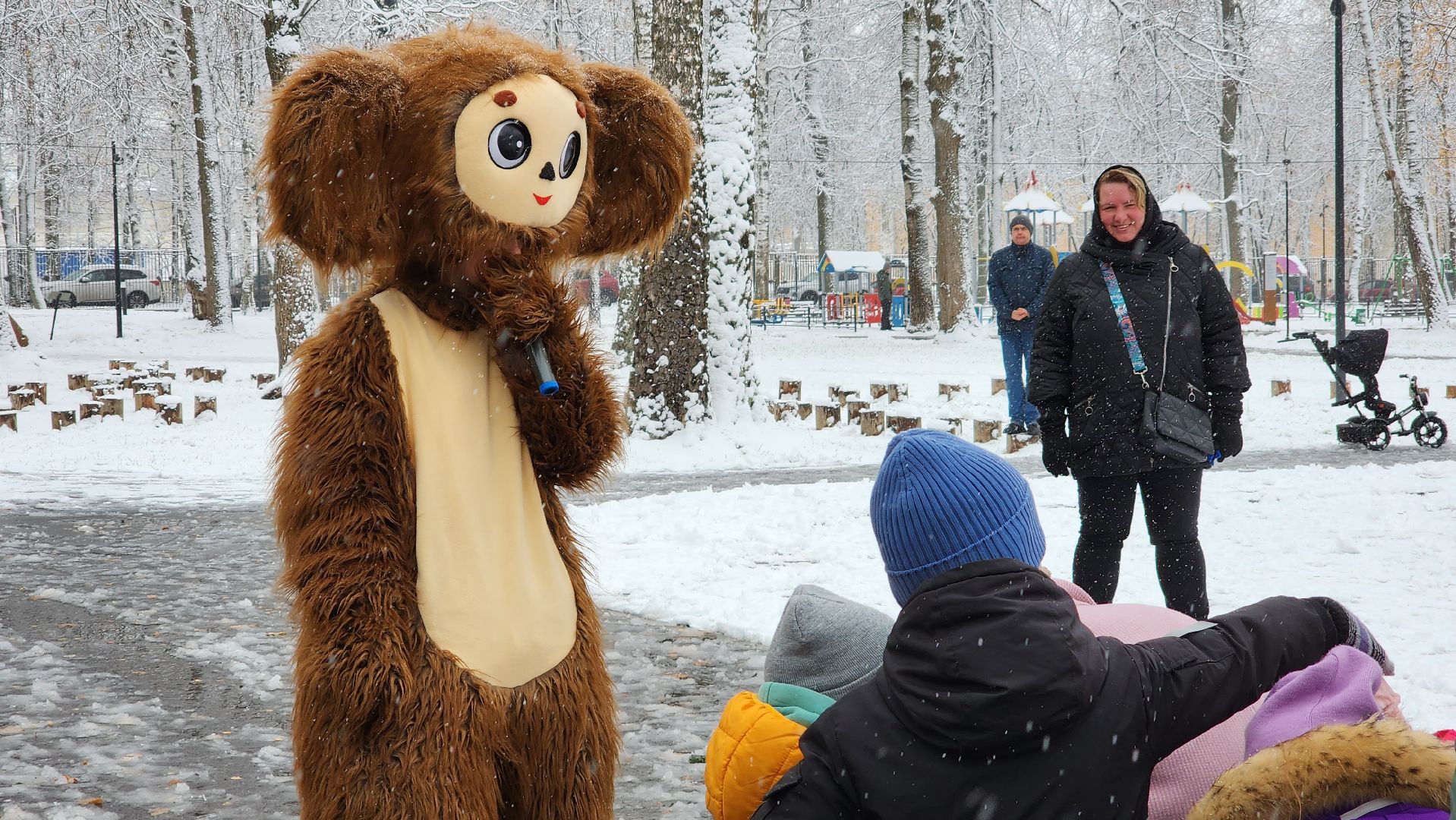 ступино, день народного единства, парки подмосковья, вертикалка,