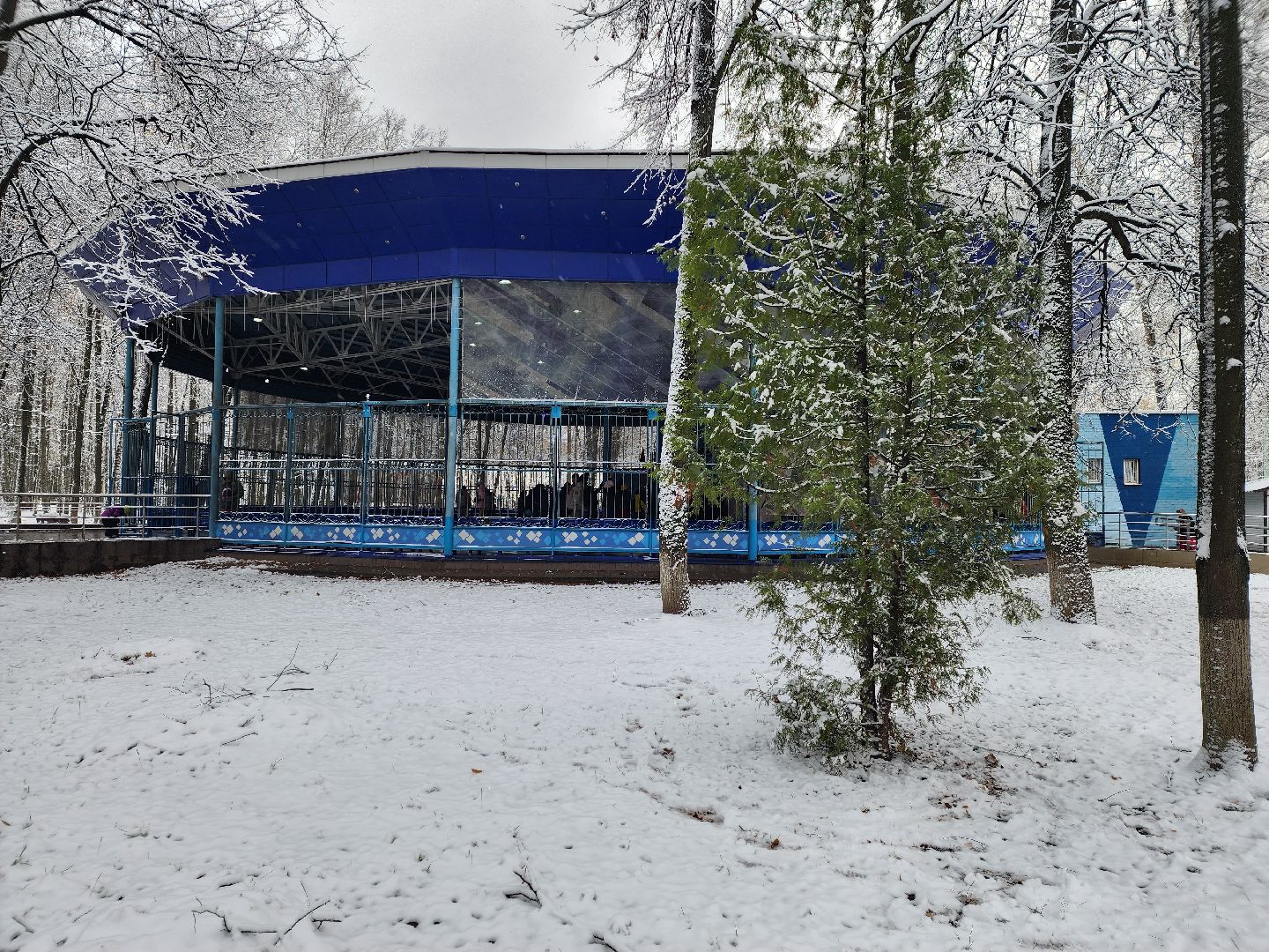 королёв, вертикалки,