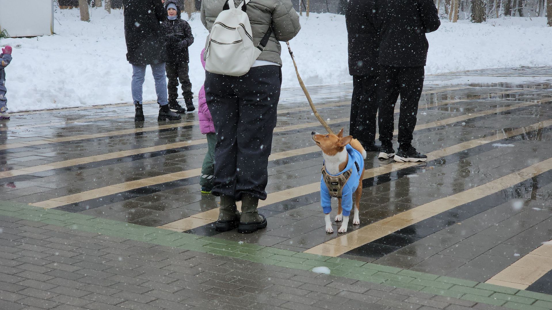 кашира, день народного единства, концерт, вертикалка,