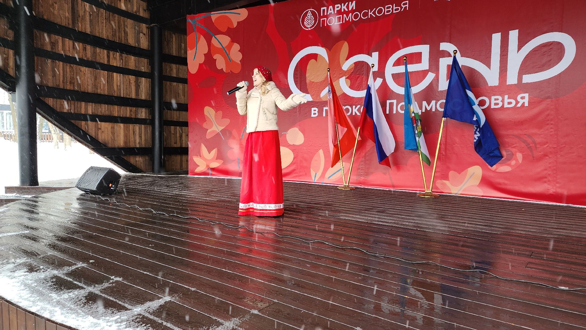 кашира, день народного единства, концерт, вертикалка,