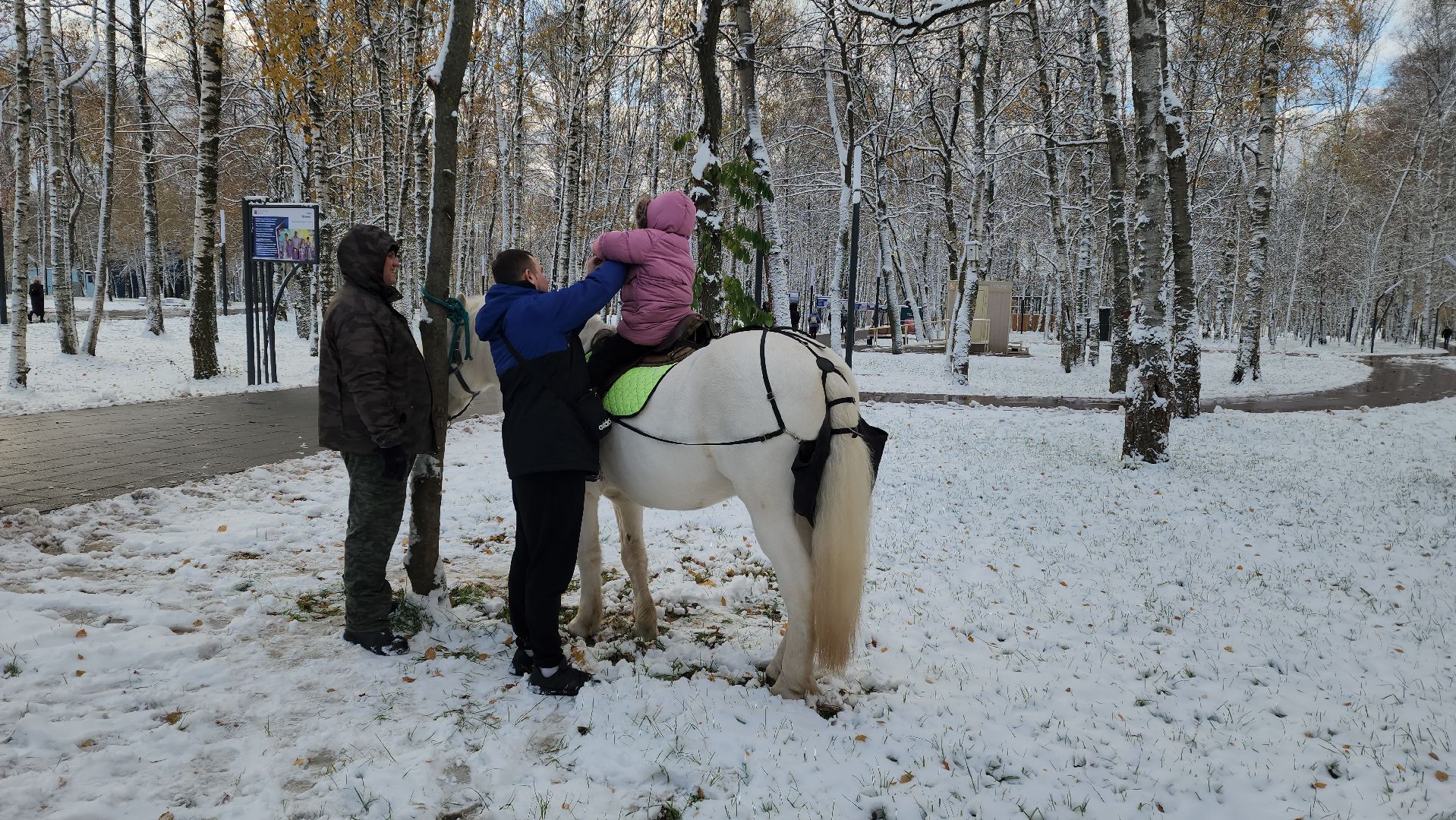 Катание на лошадях, Парк, день народного единства, Лобня, вертикалка,