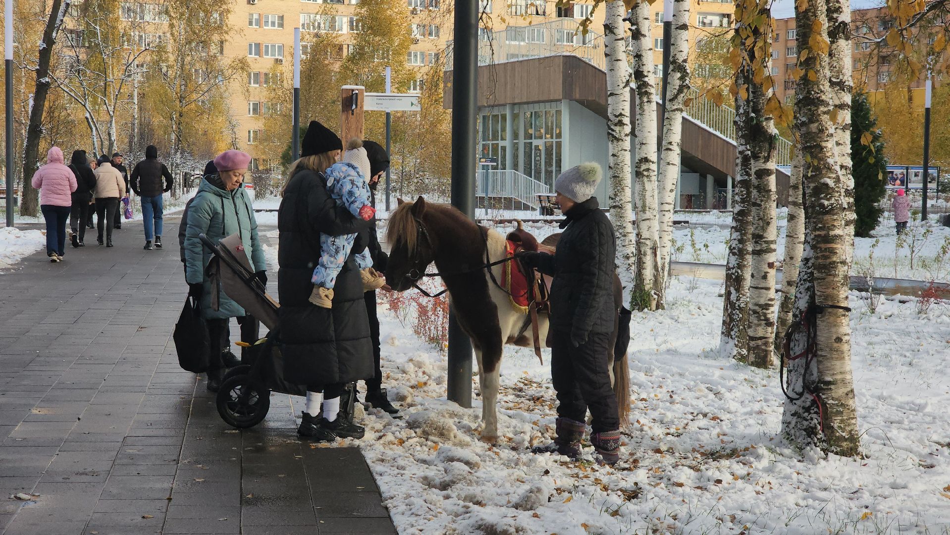 Катание на лошадях, Парк, день народного единства, Лобня, вертикалка,