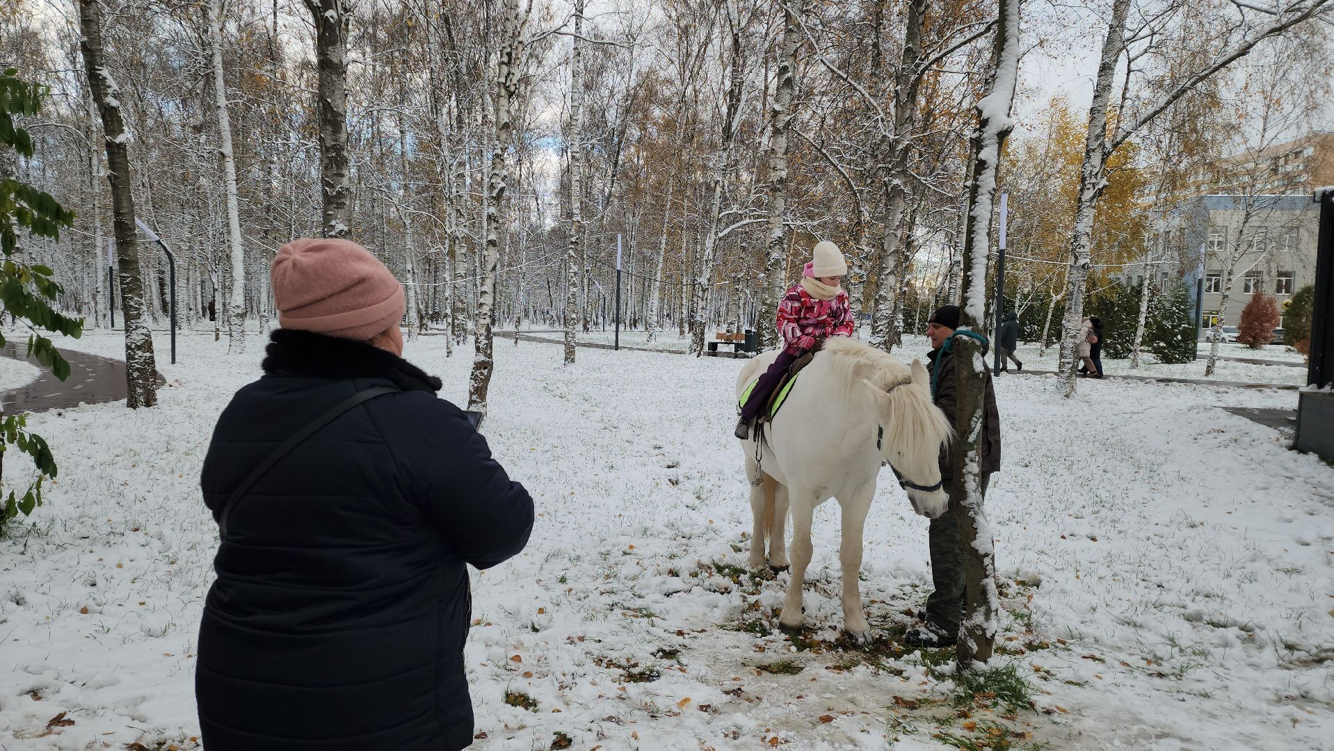 Катание на лошадях, Парк, день народного единства, Лобня, вертикалка,