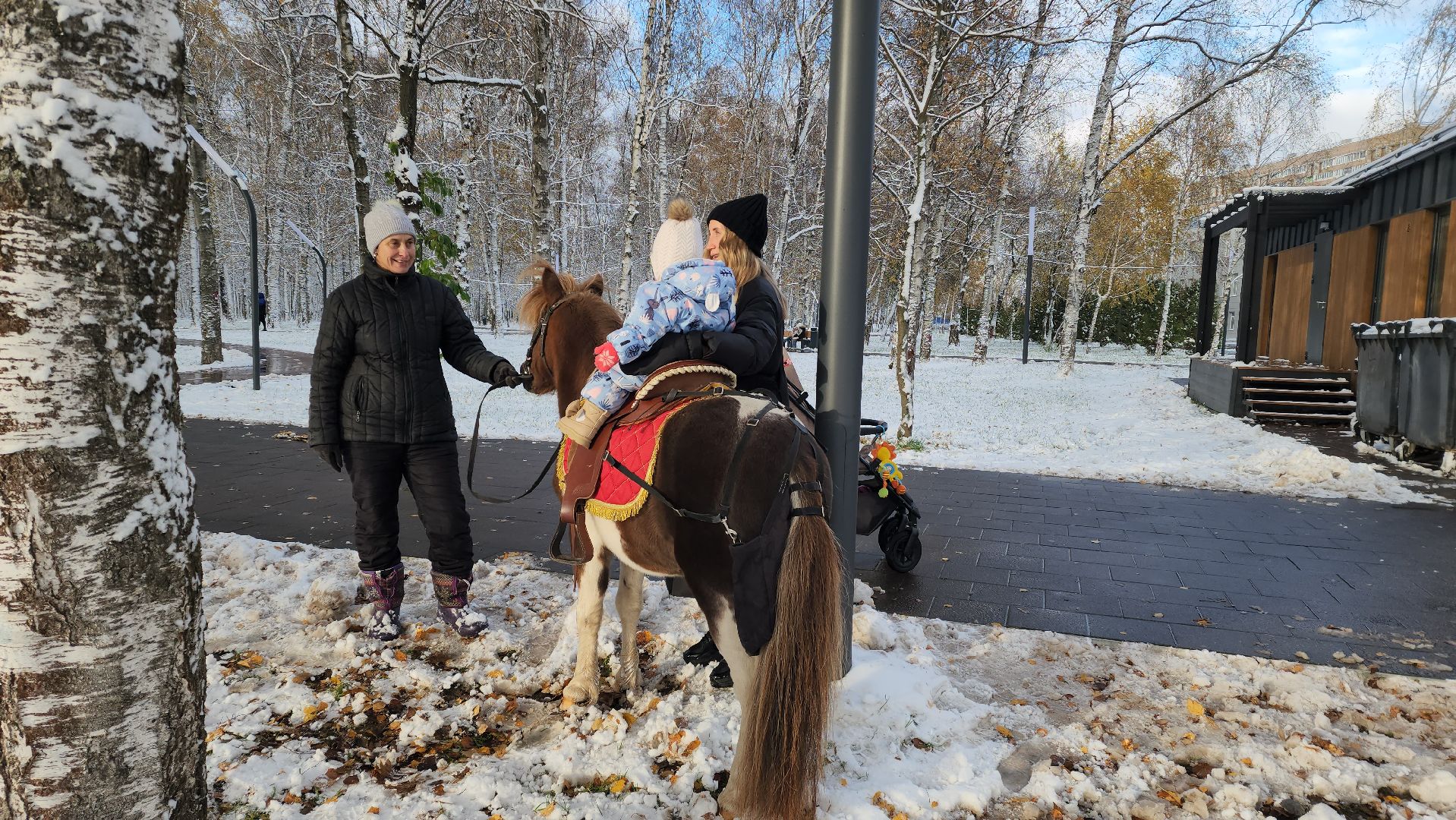 Катание на лошадях, Парк, день народного единства, Лобня, вертикалка,