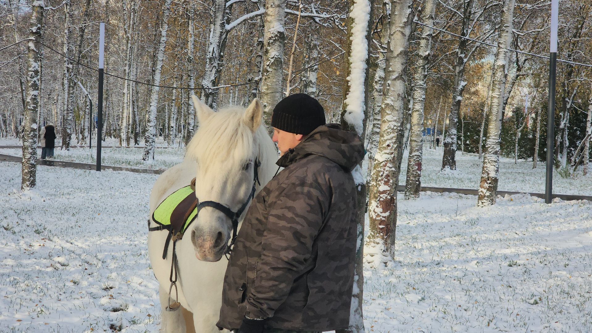 Катание на лошадях, Парк, день народного единства, Лобня, вертикалка,