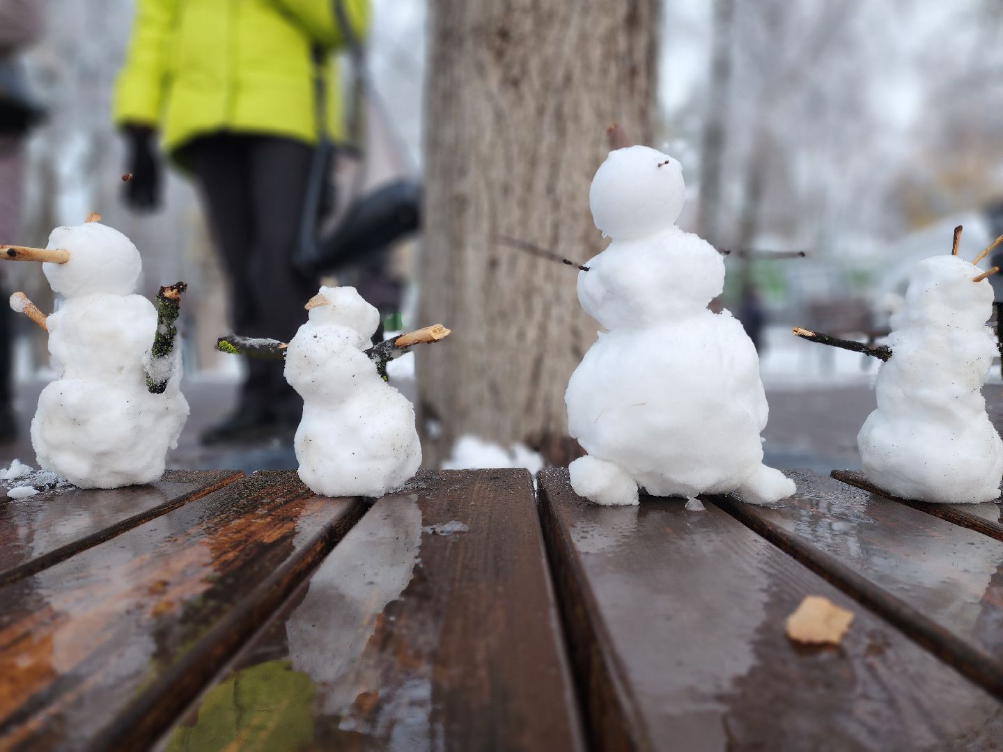 раменское, общество, день народного единства, праздничная программа в раменском городском парке, вертикалки,