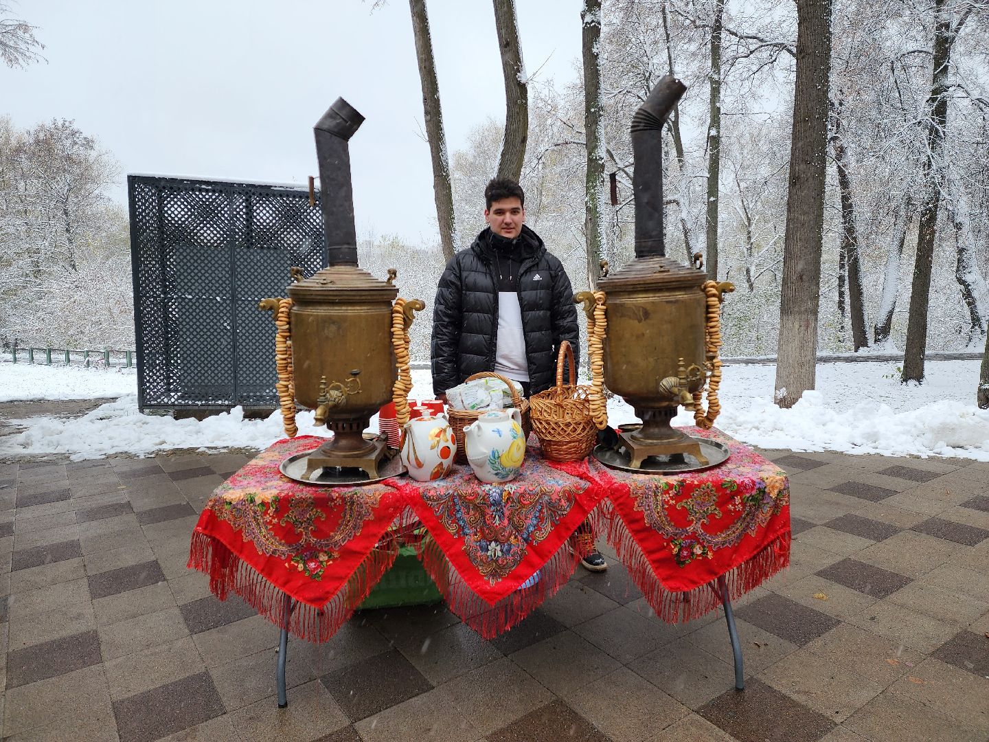 раменское, общество, день народного единства, праздничная программа в раменском городском парке, вертикалки,
