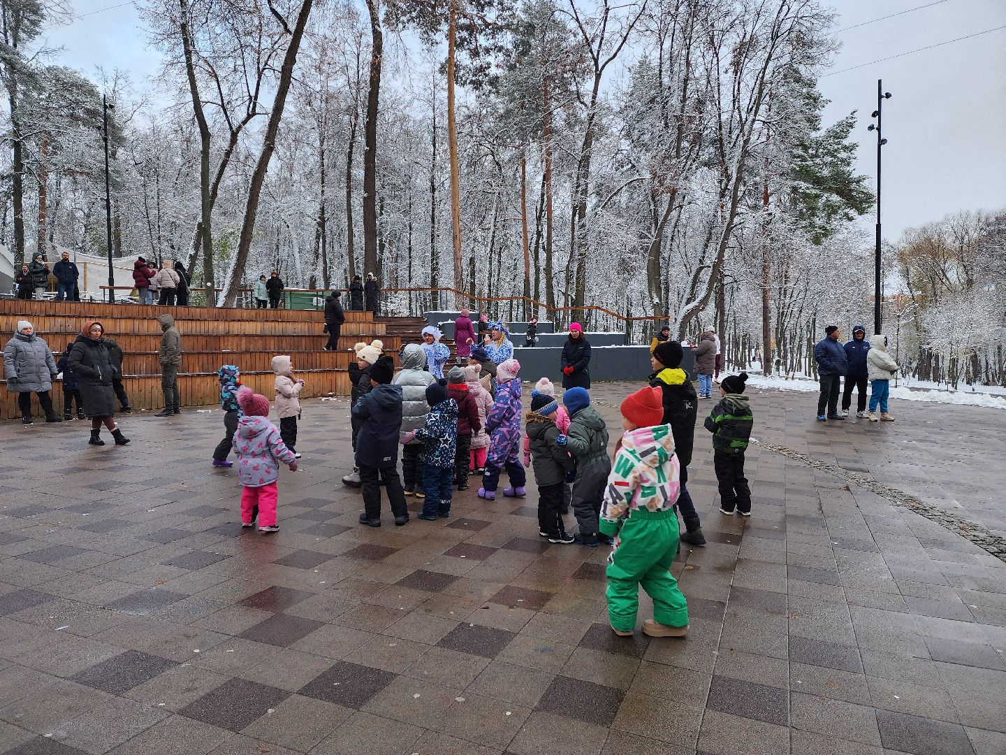 раменское, общество, день народного единства, праздничная программа в раменском городском парке, вертикалки,