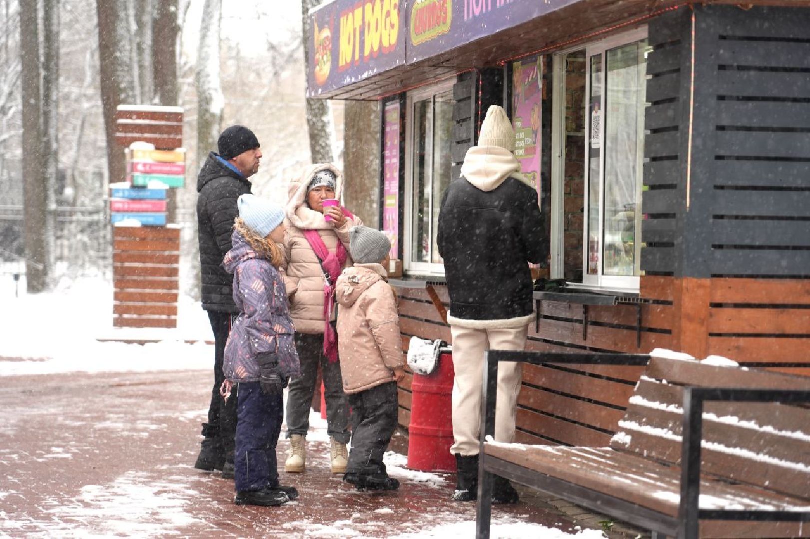 Праздник, День народного единства, Парк, Сергиев Посад, Сергиево-Посадский городской округ, вертикалка,