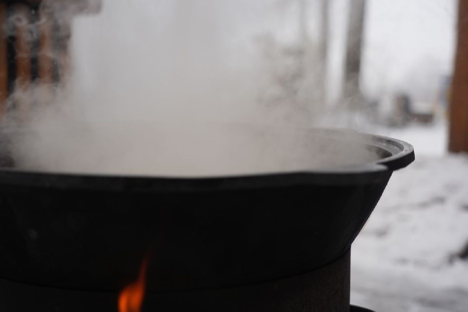 Праздник, День народного единства, Парк, Сергиев Посад, Сергиево-Посадский городской округ, вертикалка,
