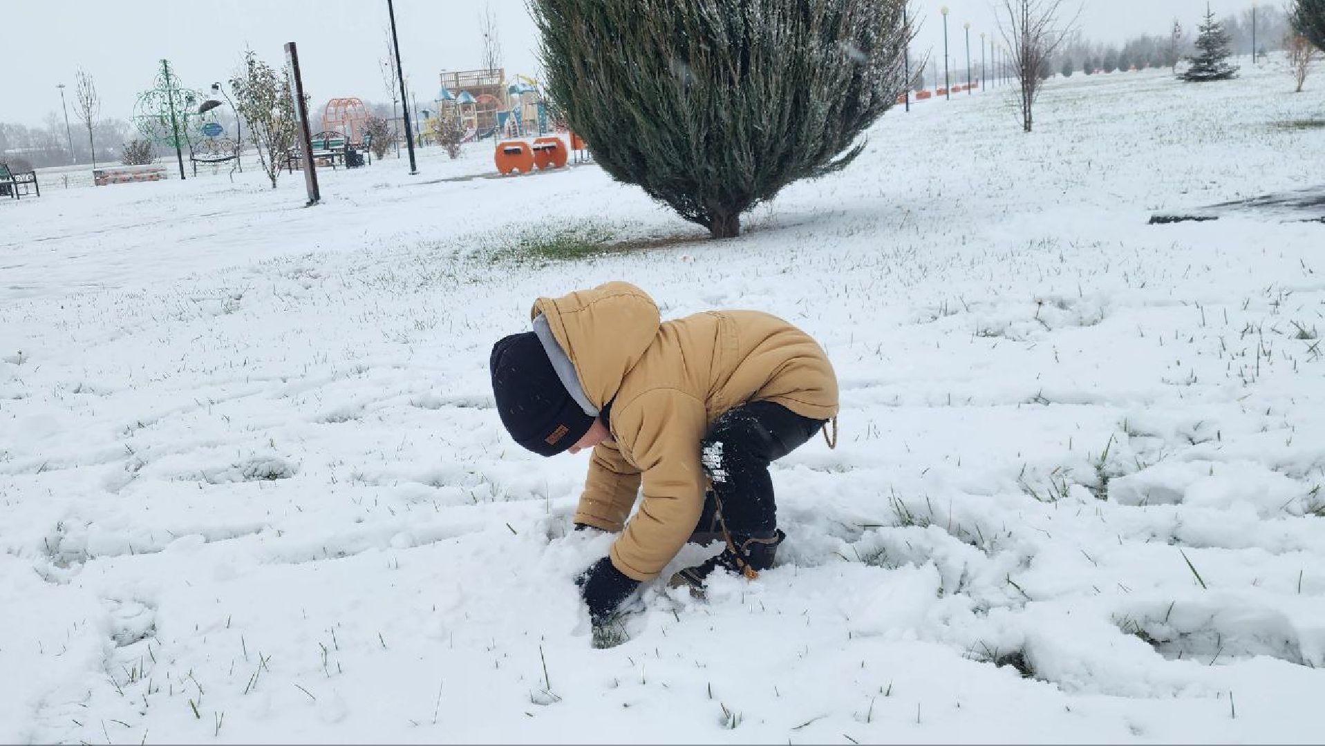 вертикалка, Серебряные Пруды, парк Серебряный, снегопад, первый снег,