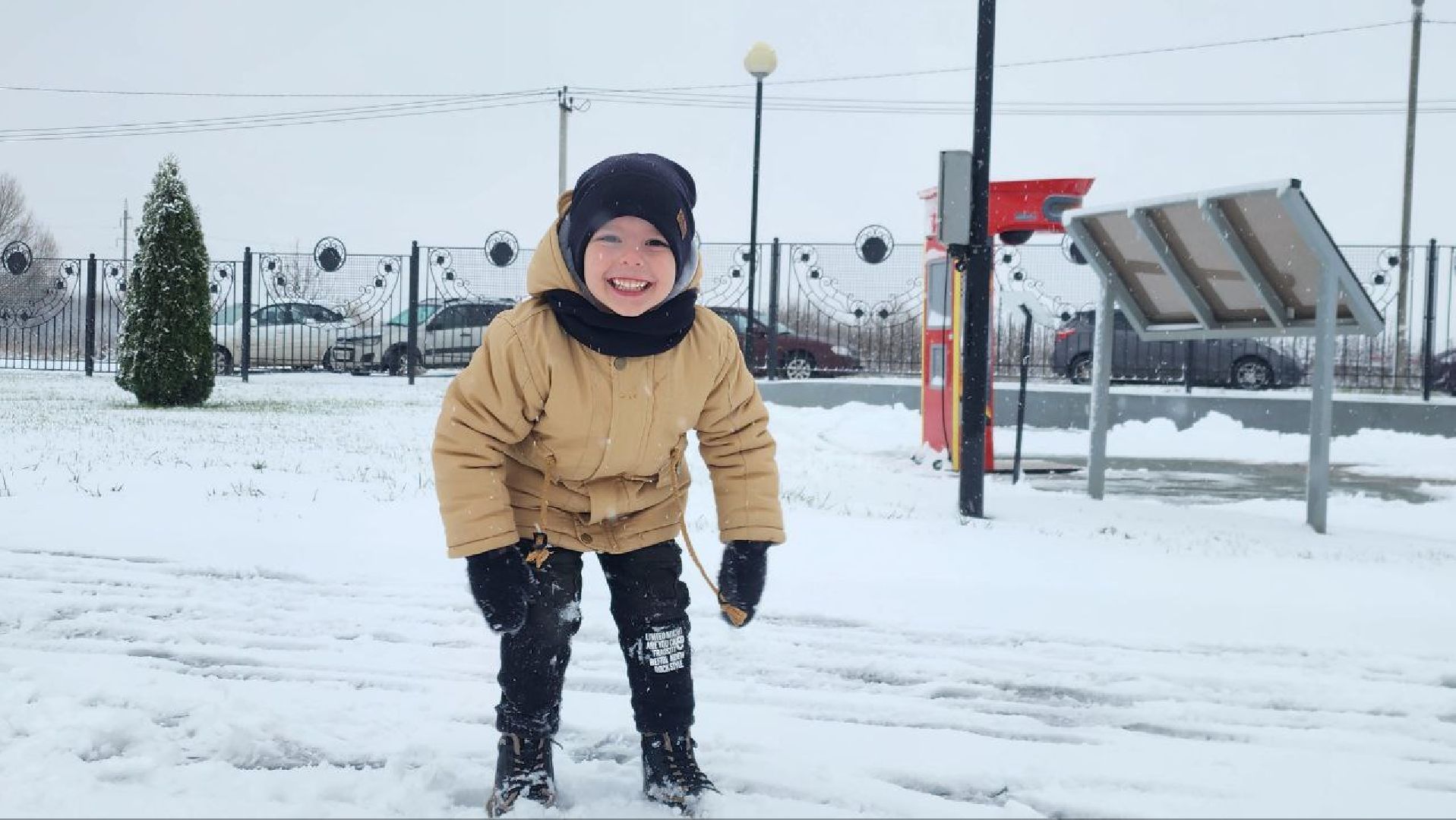 вертикалка, Серебряные Пруды, парк Серебряный, снегопад, первый снег,