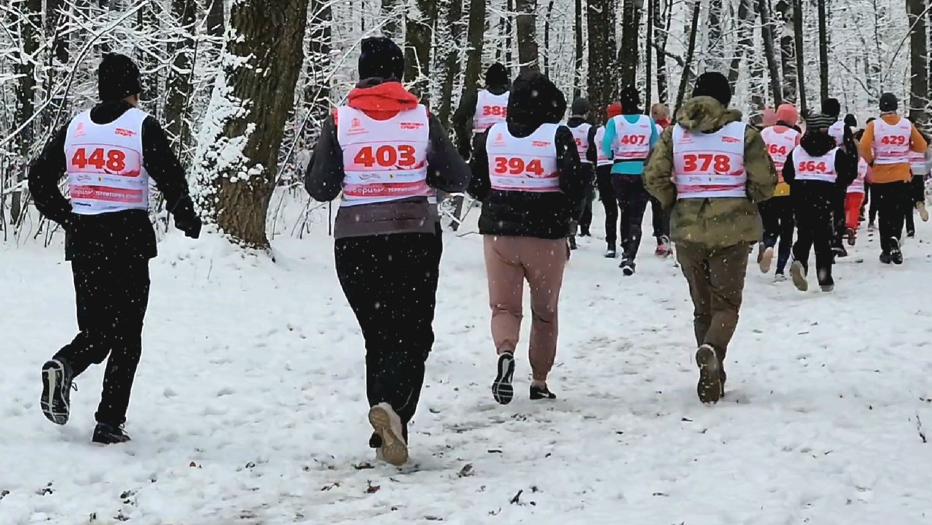 спорт, забег, день народного единства, лес, вертикалка,