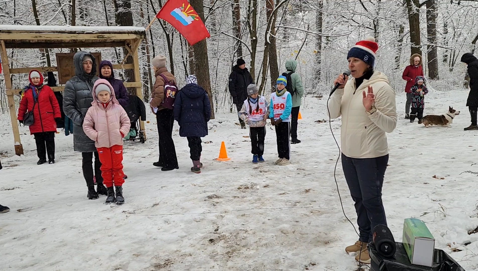 спорт, забег, день народного единства, лес, вертикалка,