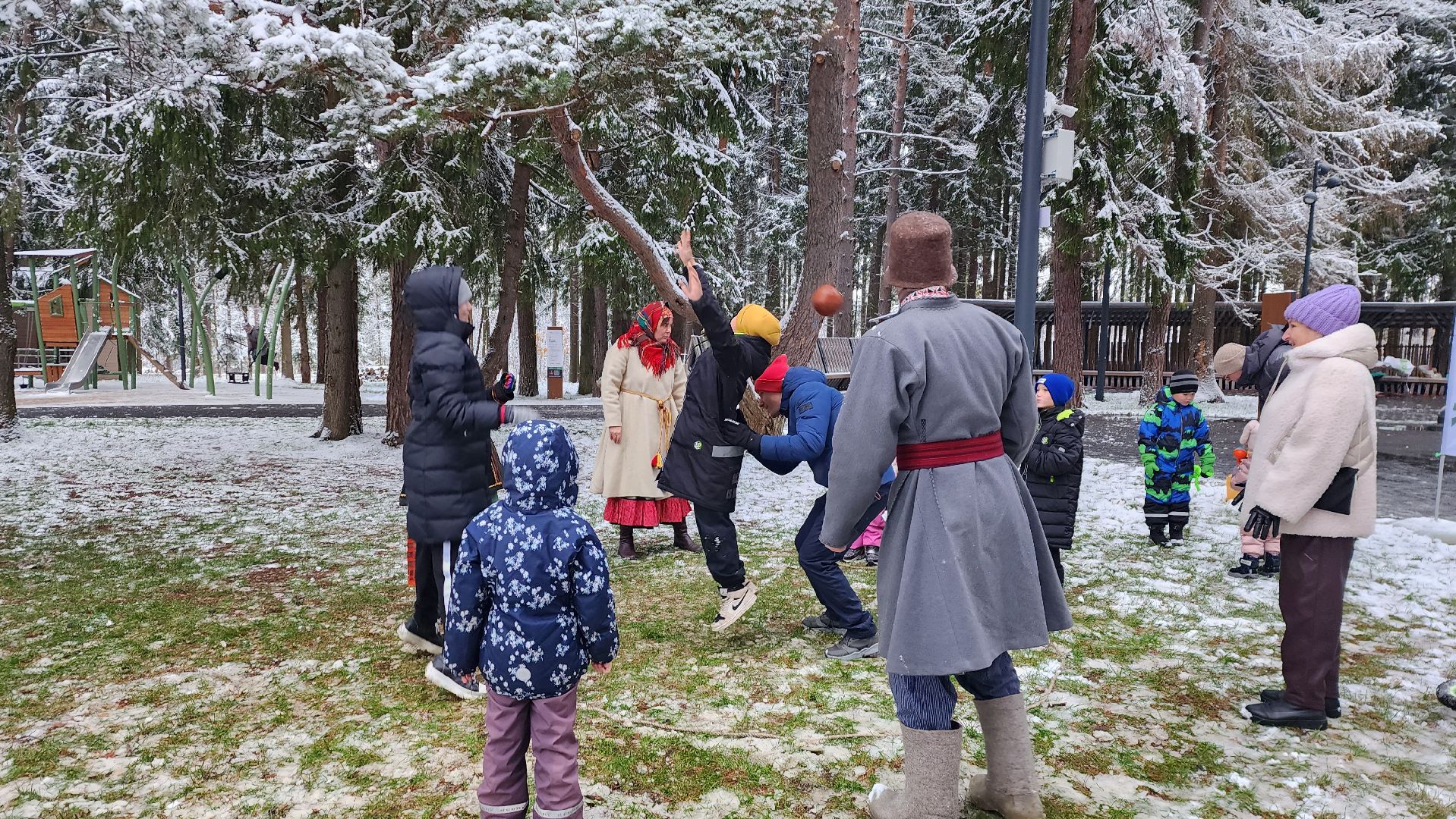 день народного единства, праздник, вертикалка, парк, истра,