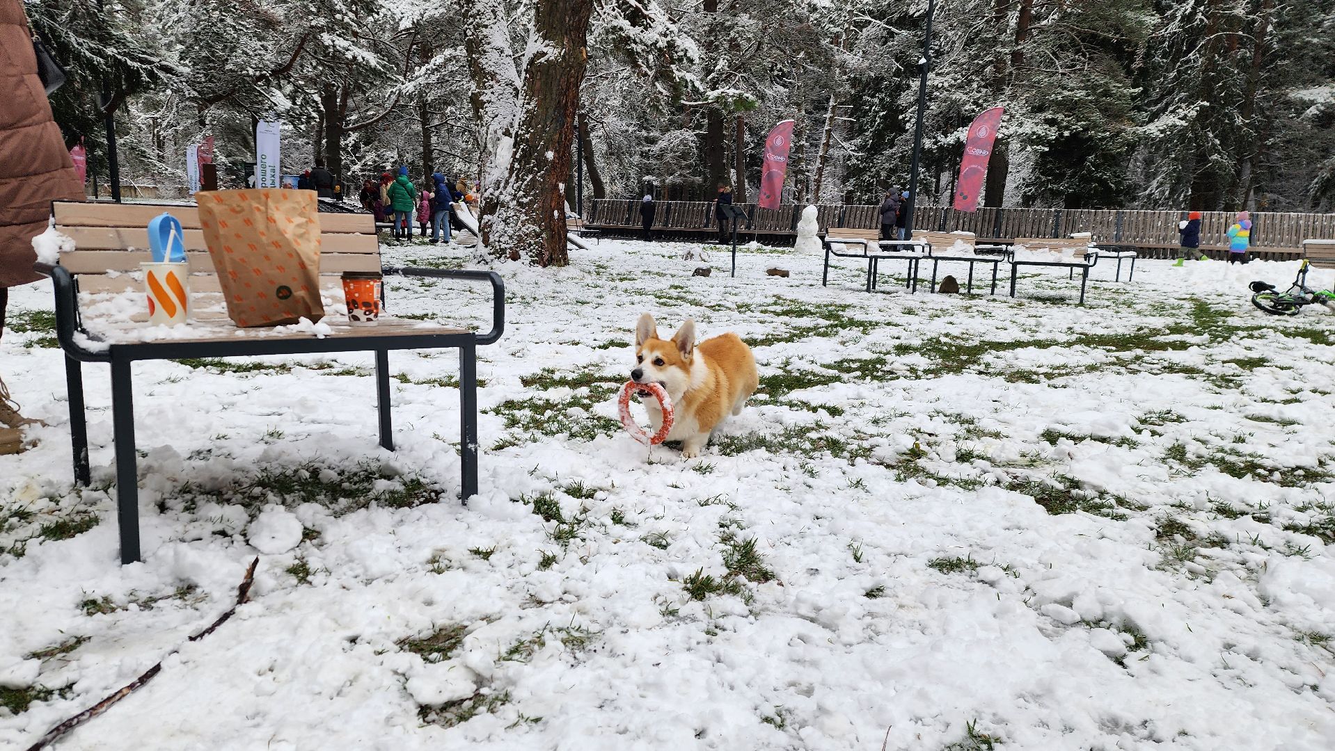 день народного единства, праздник, вертикалка, парк, истра,
