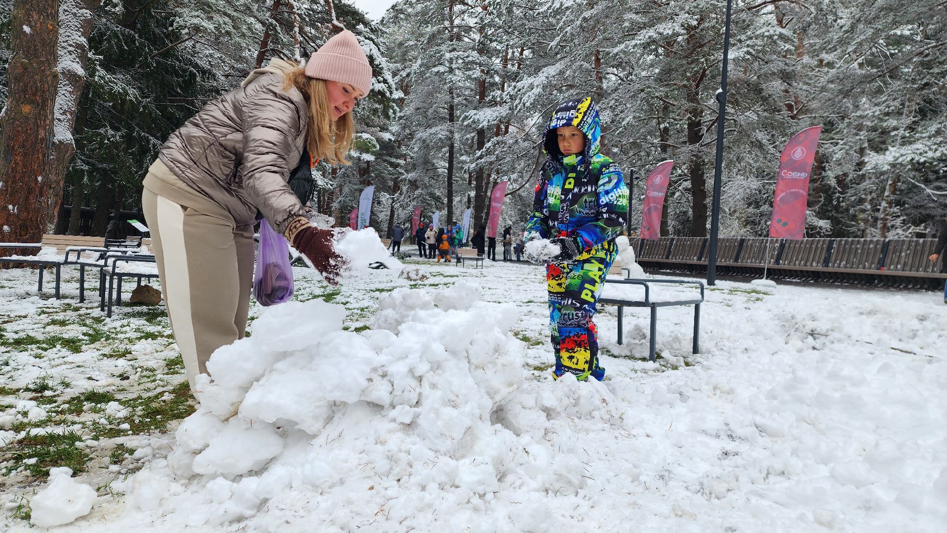 день народного единства, праздник, вертикалка, парк, истра,