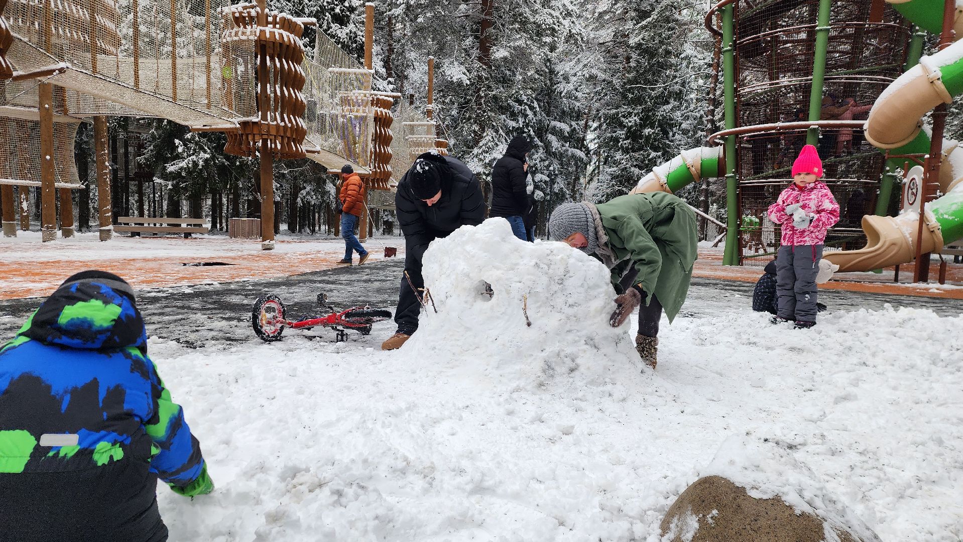 день народного единства, праздник, вертикалка, парк, истра,