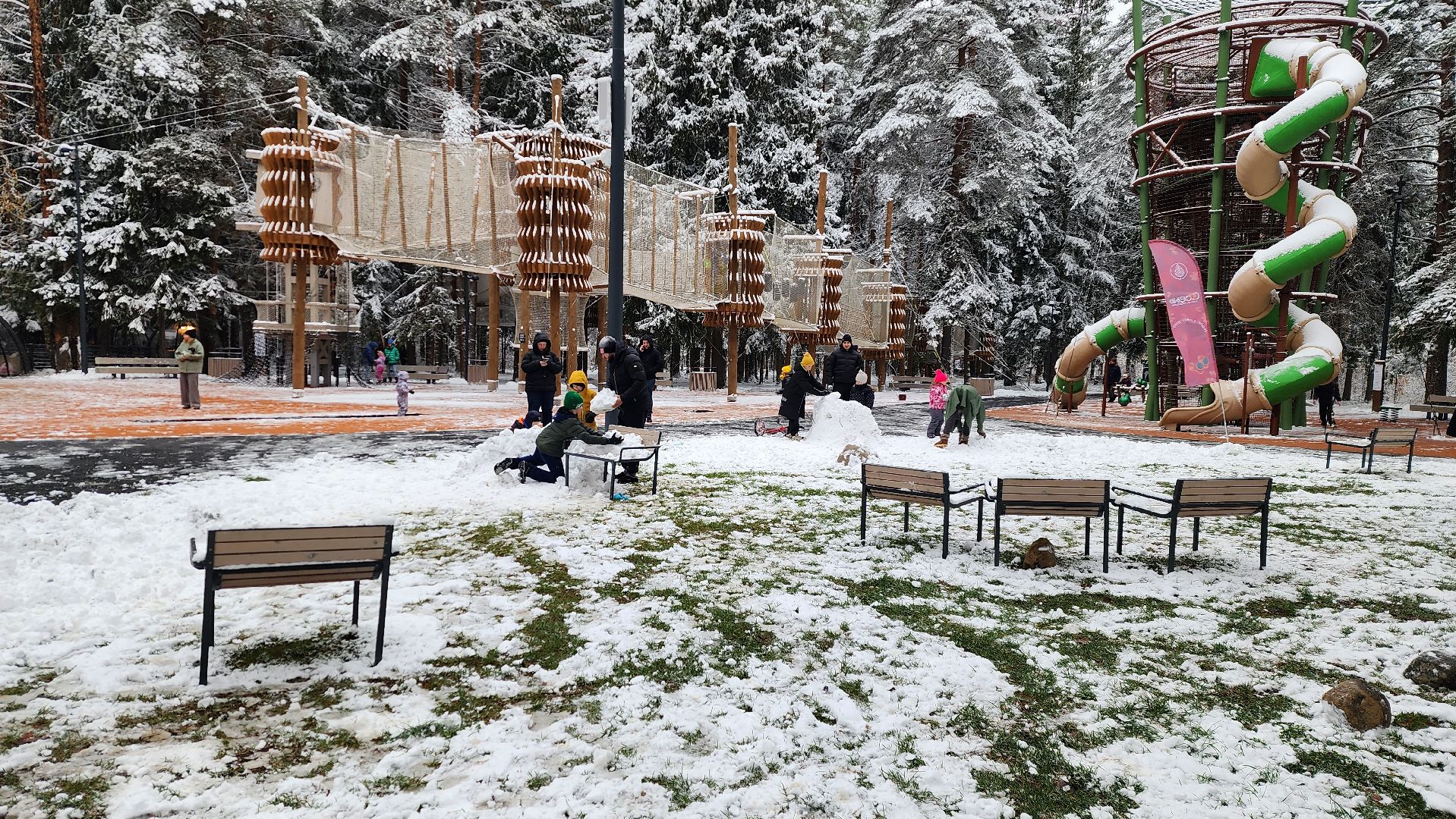 день народного единства, праздник, вертикалка, парк, истра,