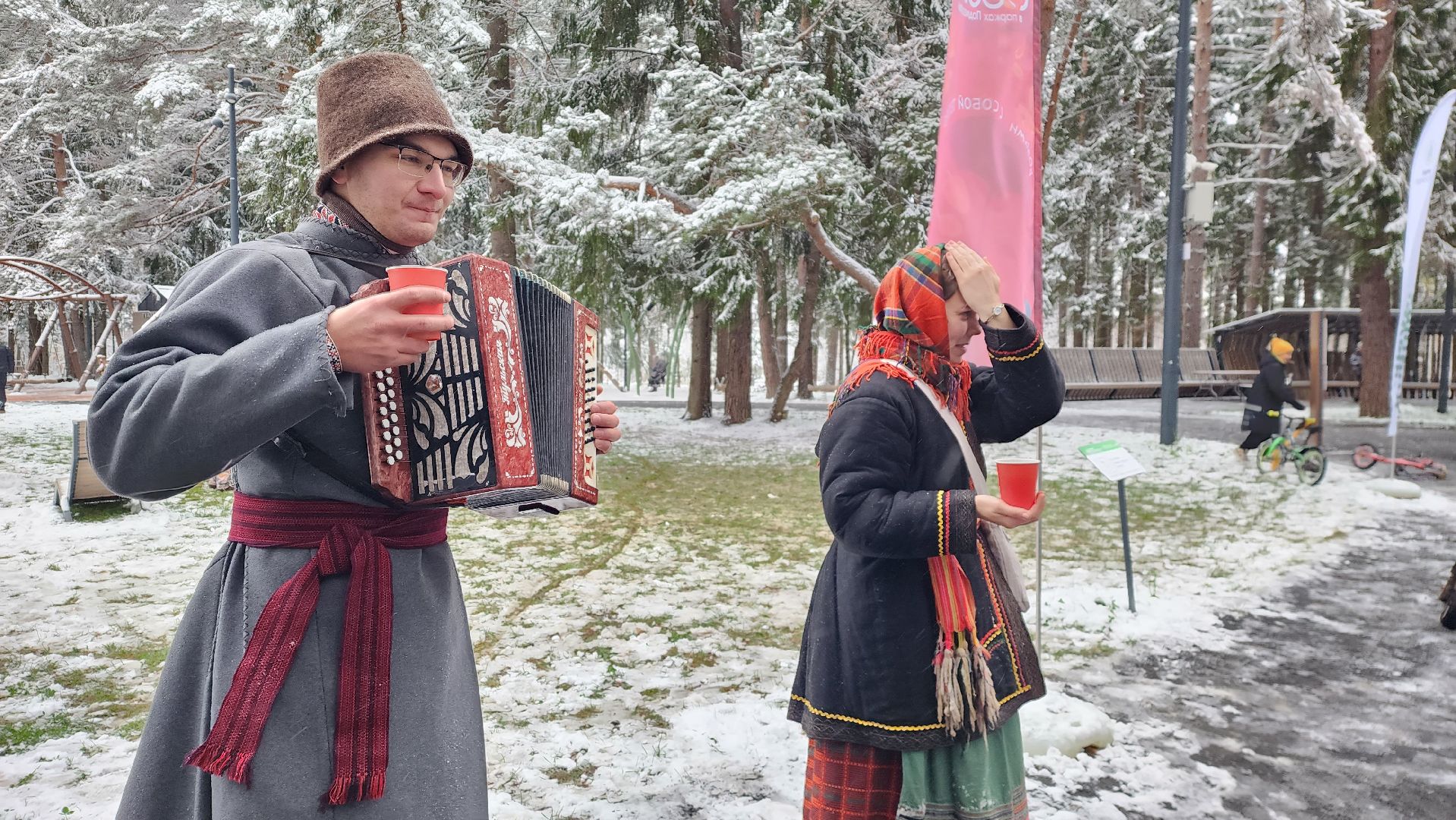 день народного единства, праздник, вертикалка, парк, истра,