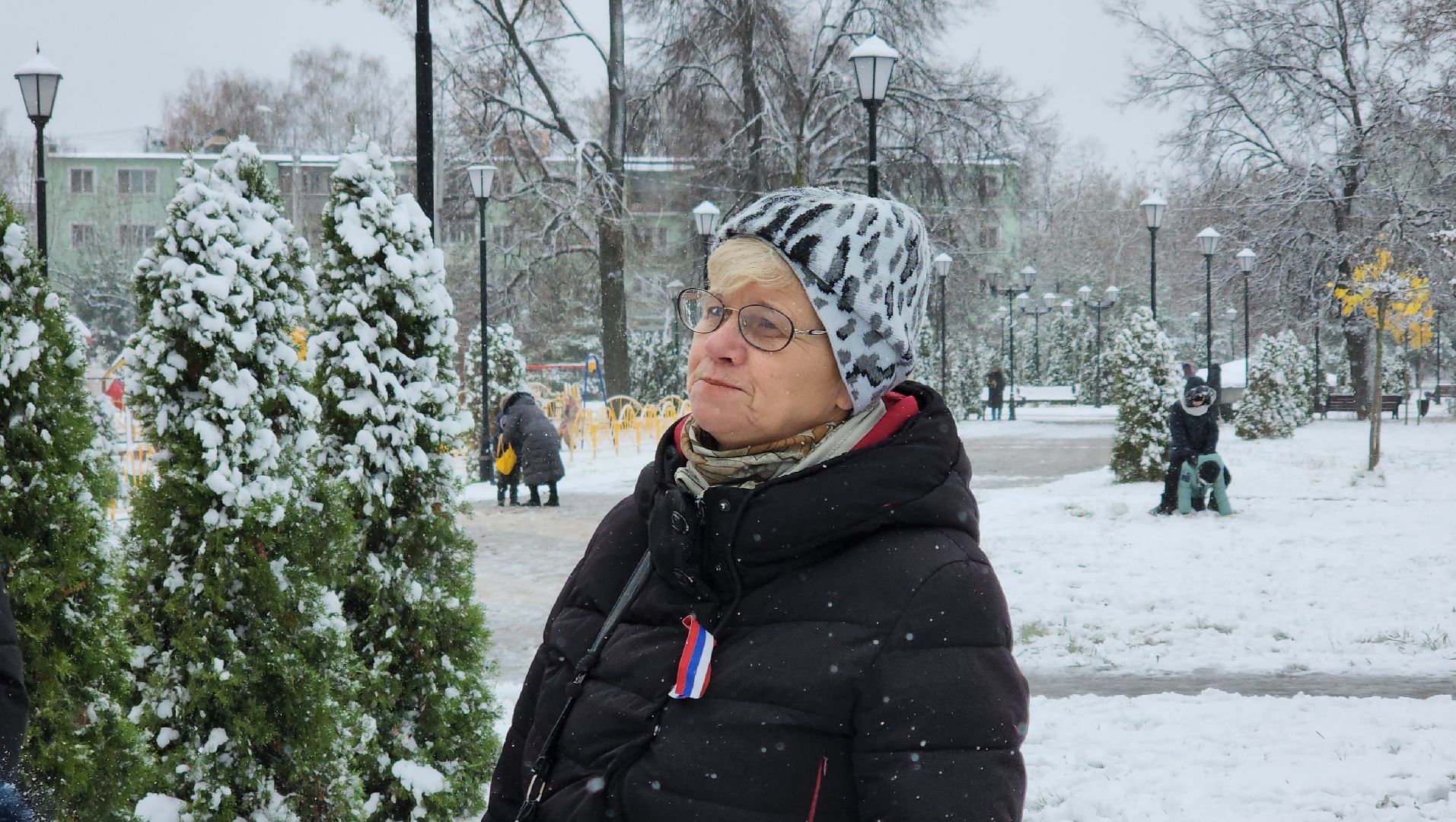 праздник, День народного единства, Лосино-Петровский, вертикалки,