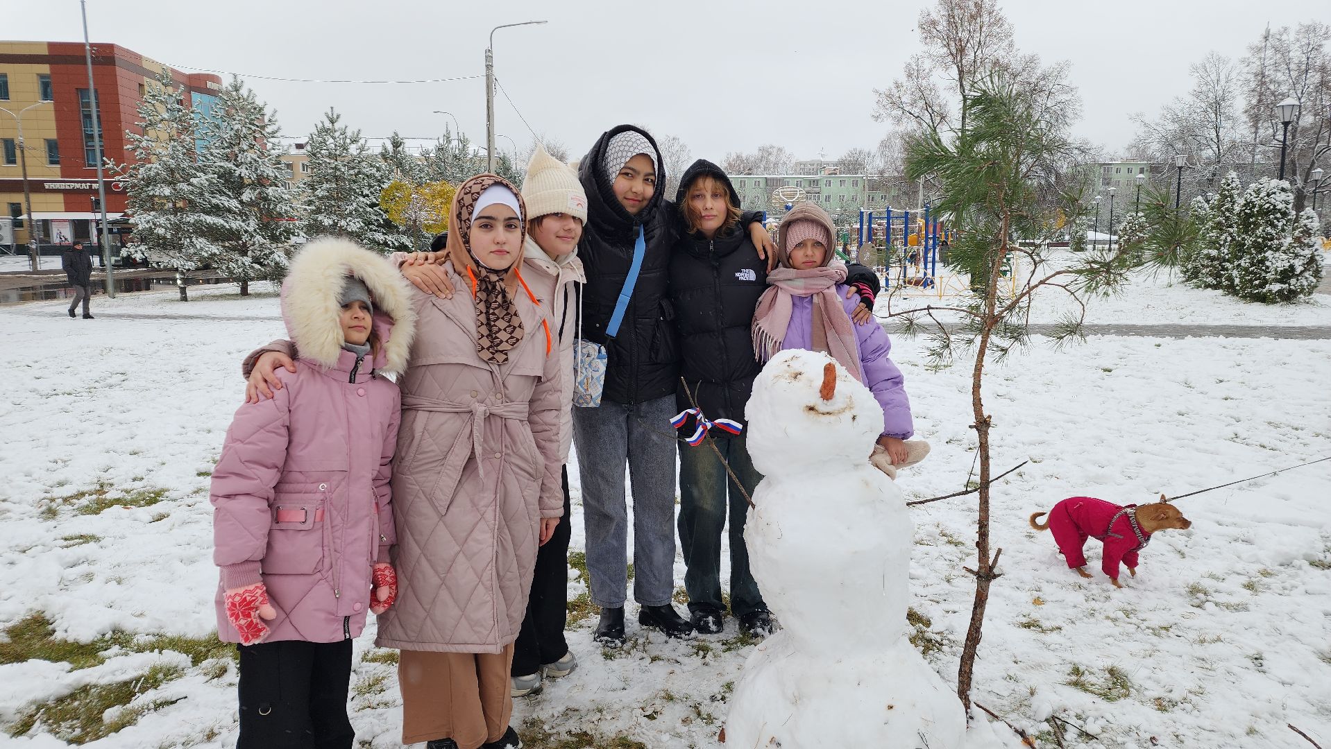 праздник, День народного единства, Лосино-Петровский, вертикалки,
