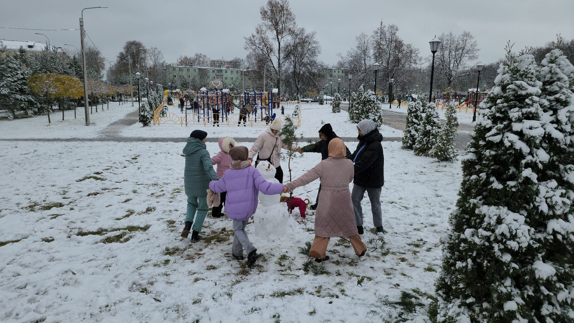 праздник, День народного единства, Лосино-Петровский, вертикалки,