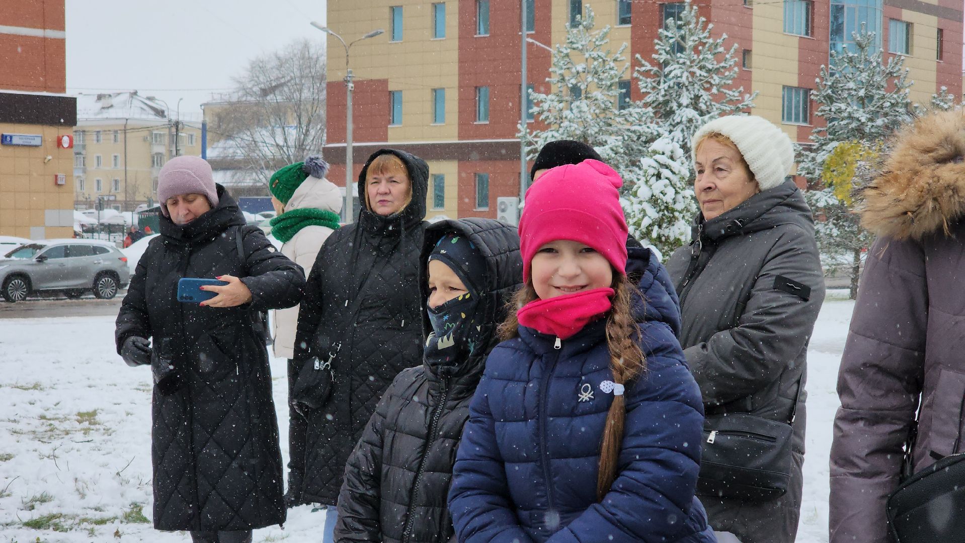 праздник, День народного единства, Лосино-Петровский, вертикалки,