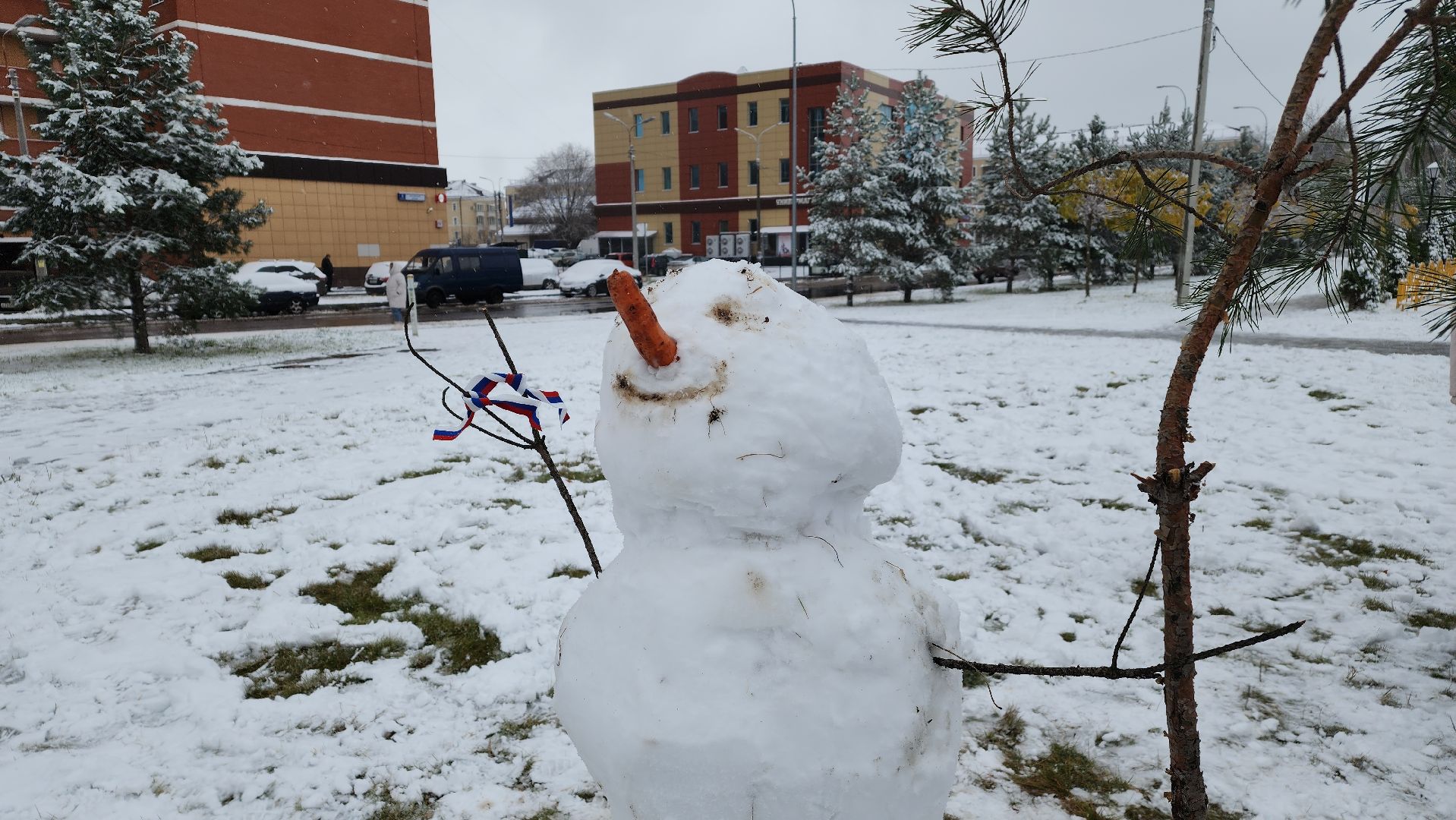 праздник, День народного единства, Лосино-Петровский, вертикалки,