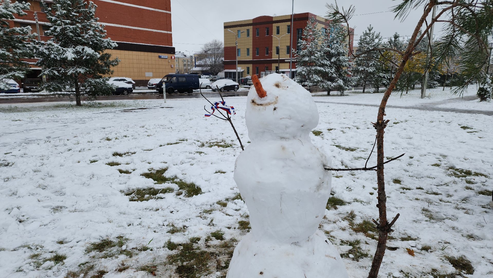 праздник, День народного единства, Лосино-Петровский, вертикалки,