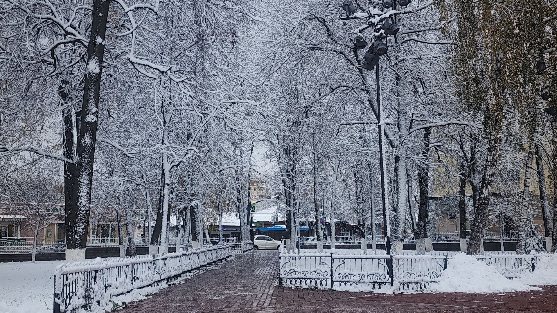 Каринское, день народного единства, культура и туризм в подмосковье, вертикалка,вертикальное видео,