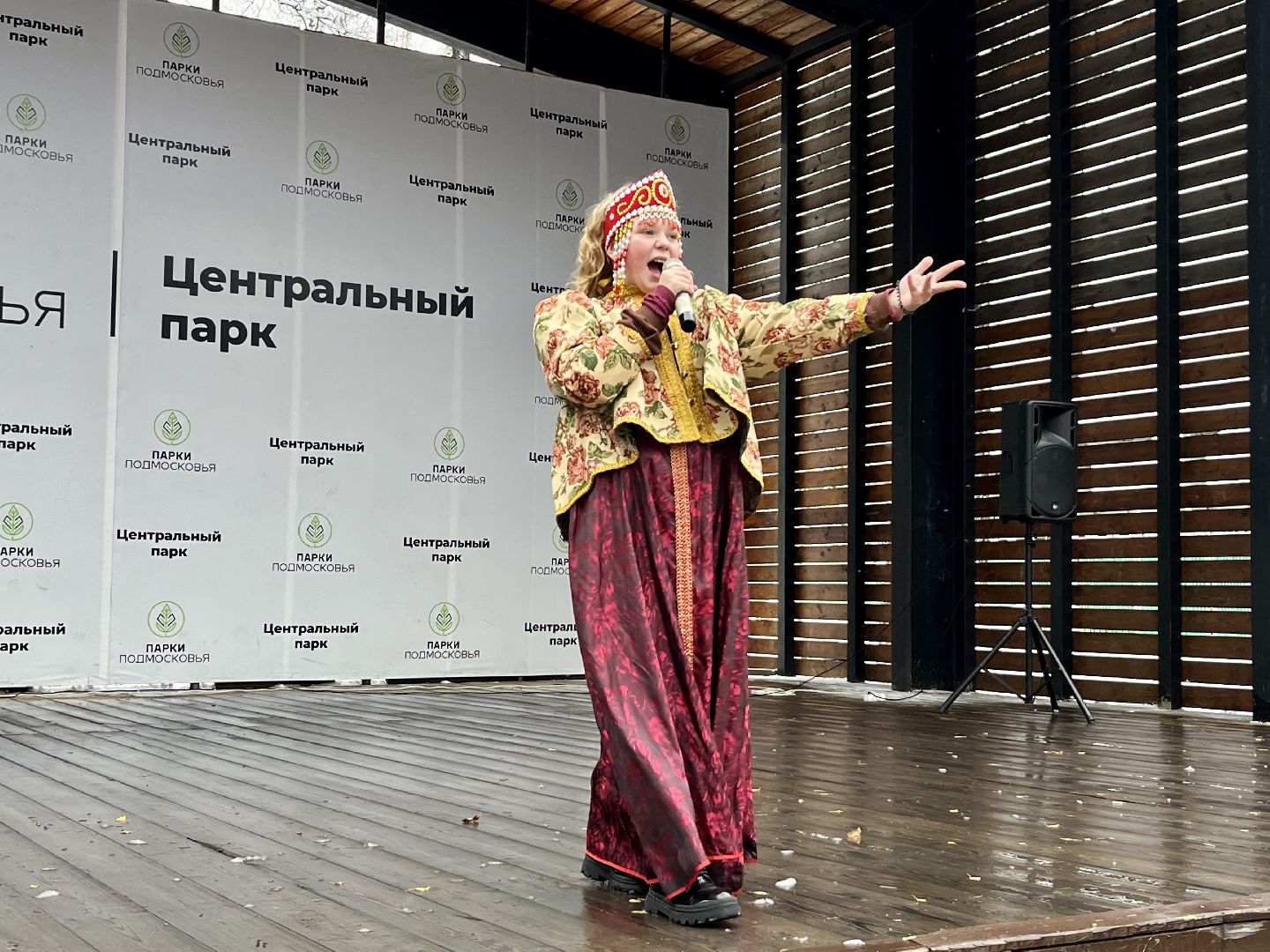 вертикалка, вертикальное видео, наро-фоминск, центральный парк наро-фоминска, день народного единства,