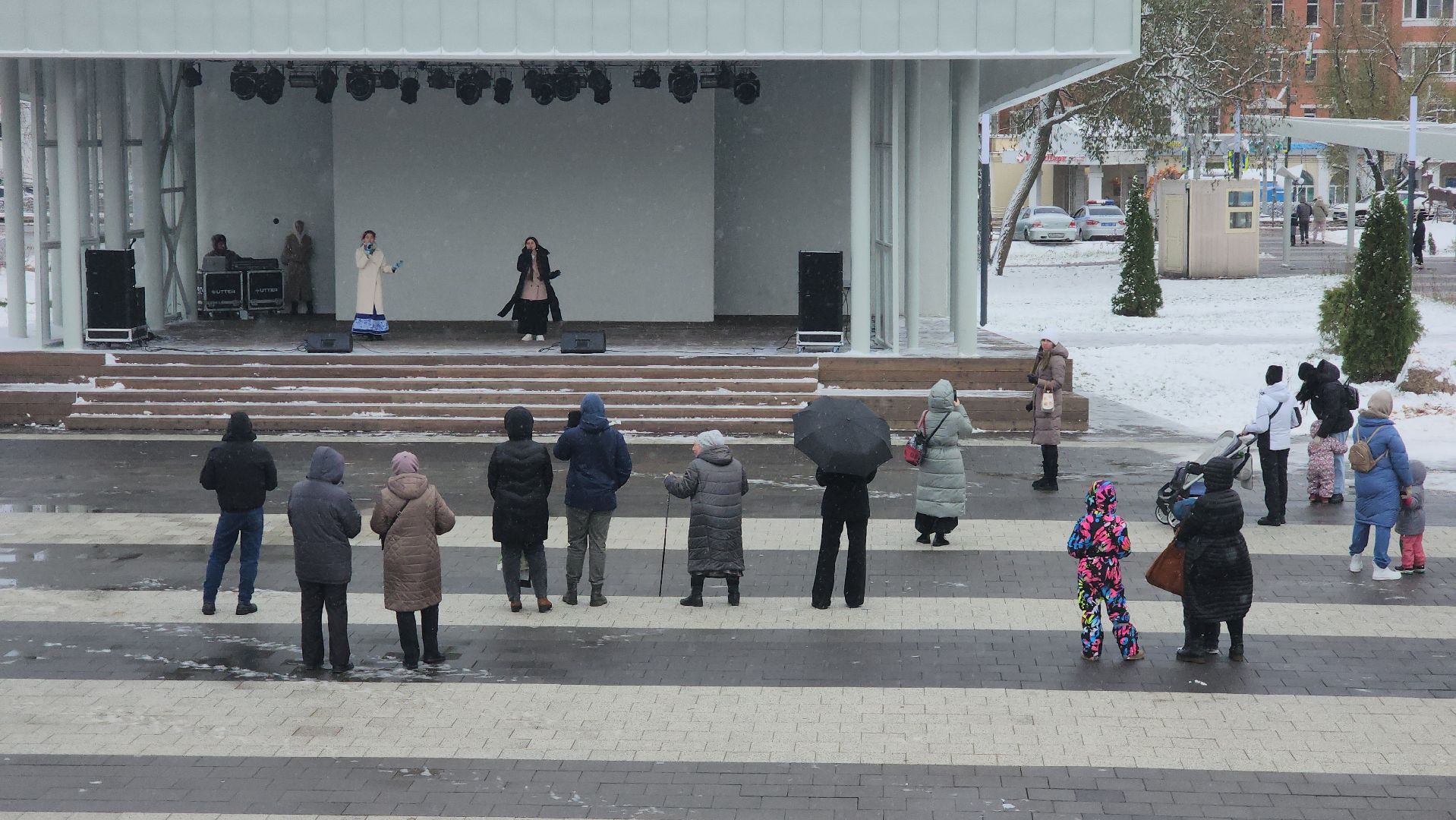 день народного единства, Концерт, Лобня, вертикалка,