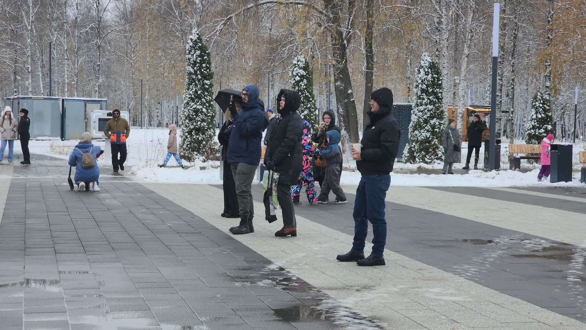 день народного единства, Концерт, Лобня, вертикалка,