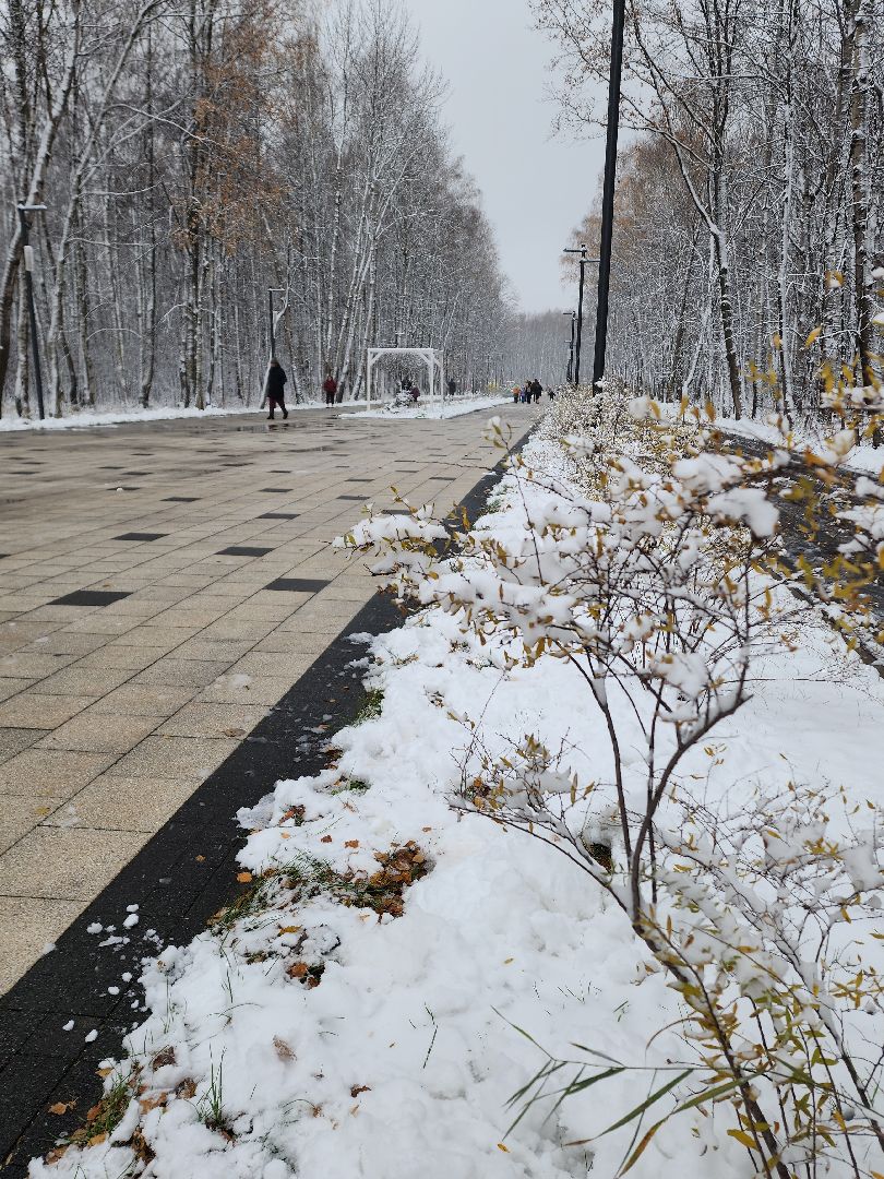 электросталь, жители города, день единства, праздник, первый снег, снеговик, снеговики, вертикалки