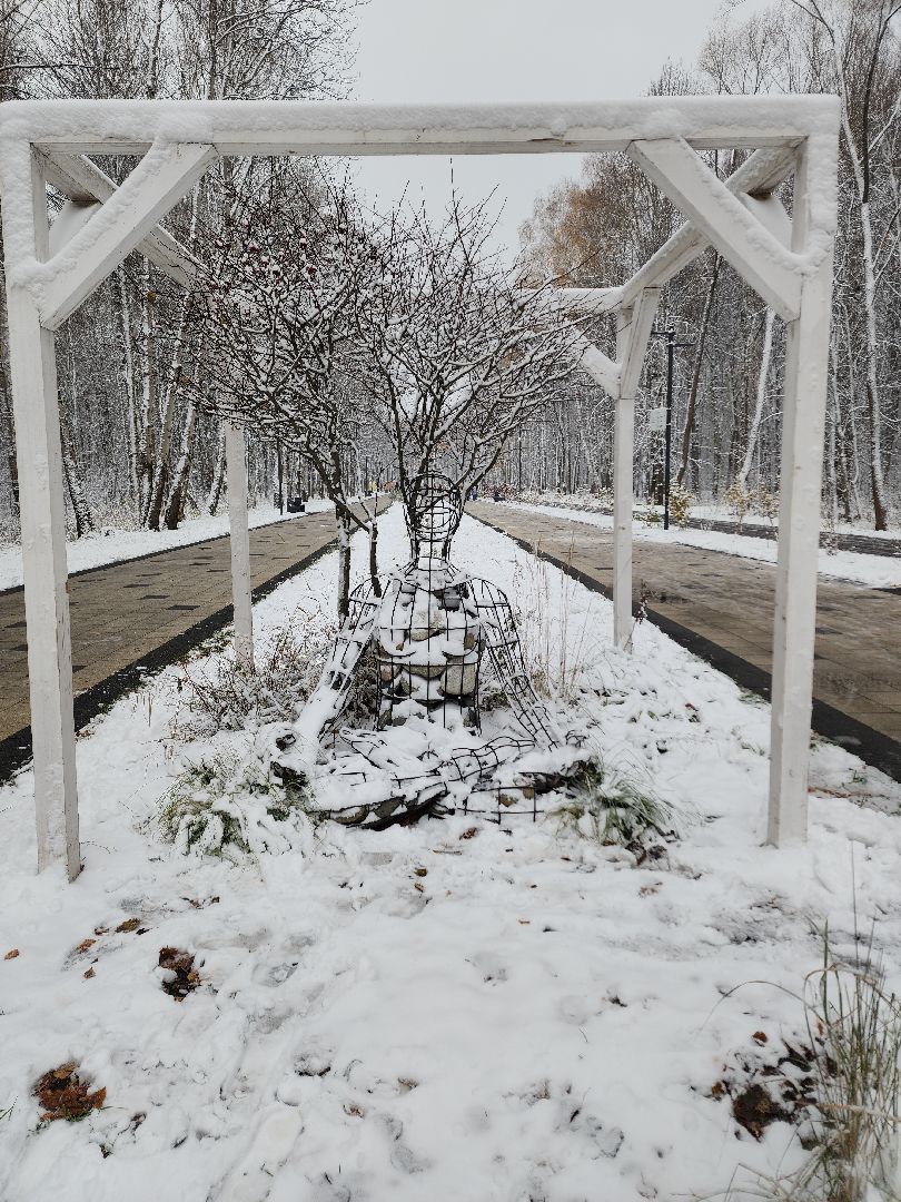 электросталь, жители города, день единства, праздник, первый снег, снеговик, снеговики, вертикалки