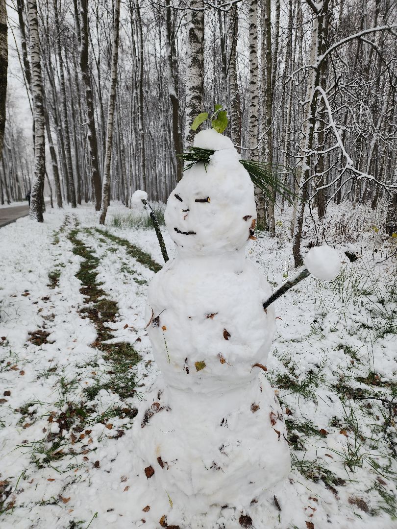 электросталь, жители города, день единства, праздник, первый снег, снеговик, снеговики, вертикалки
