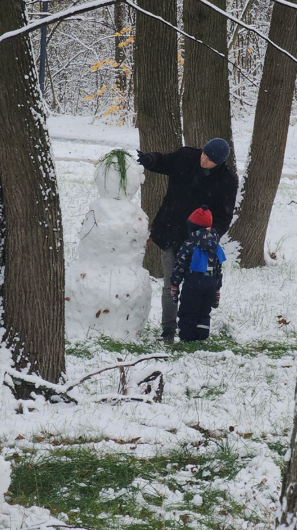 электросталь, жители города, день единства, праздник, первый снег, снеговик, снеговики, вертикалки