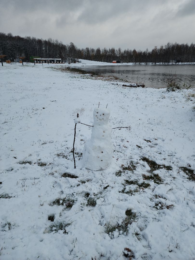 электросталь, жители города, день единства, праздник, первый снег, снеговик, снеговики, вертикалки