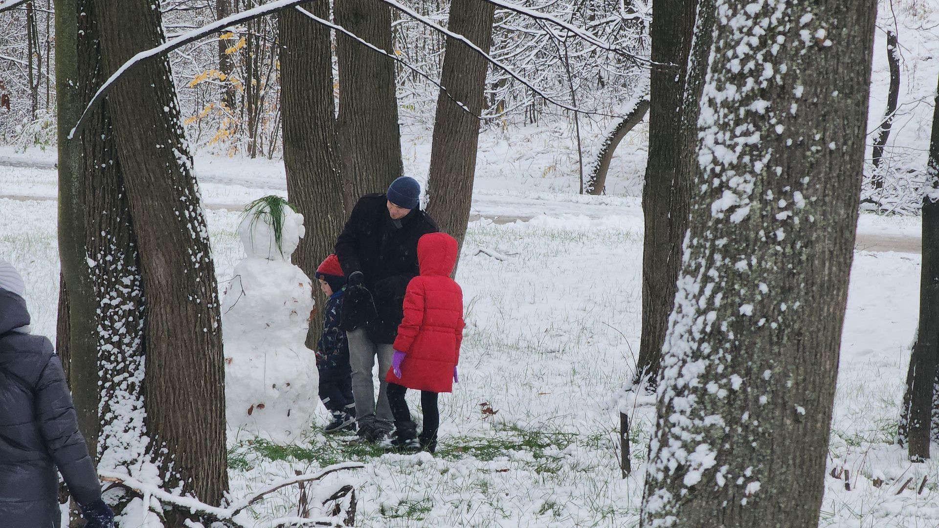 электросталь, жители города, день единства, праздник, первый снег, снеговик, снеговики, вертикалки