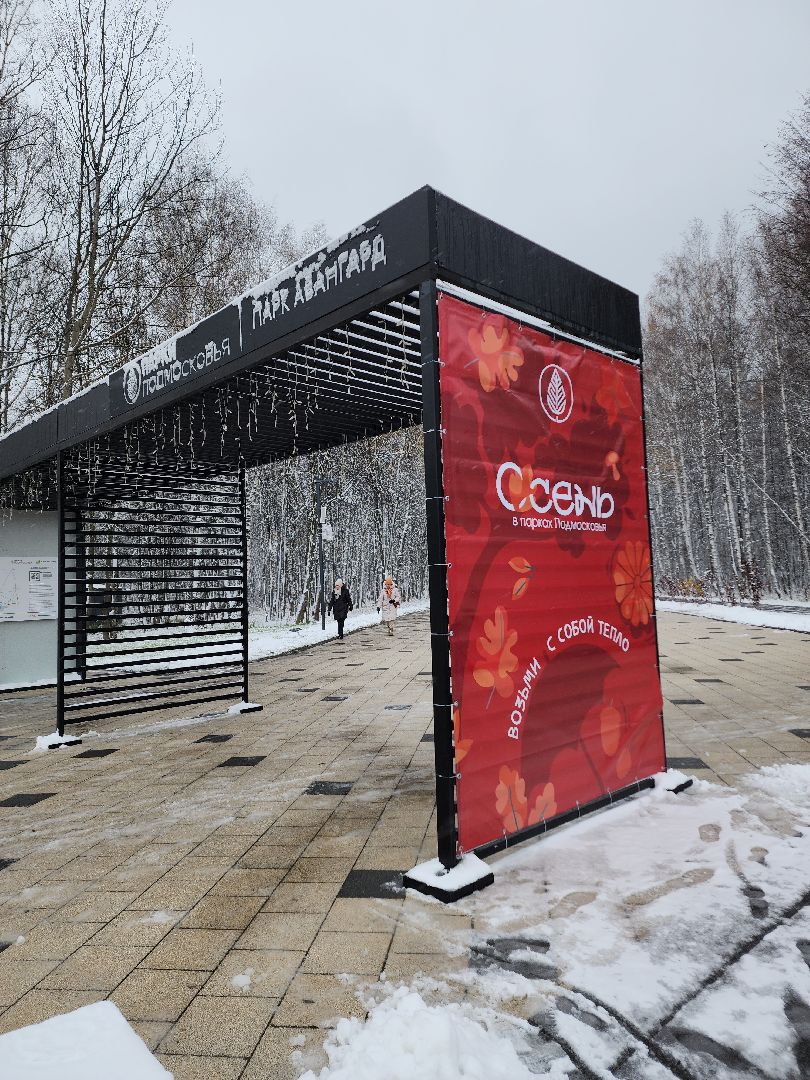 электросталь, жители города, день единства, праздник, первый снег, снеговик, снеговики, вертикалки